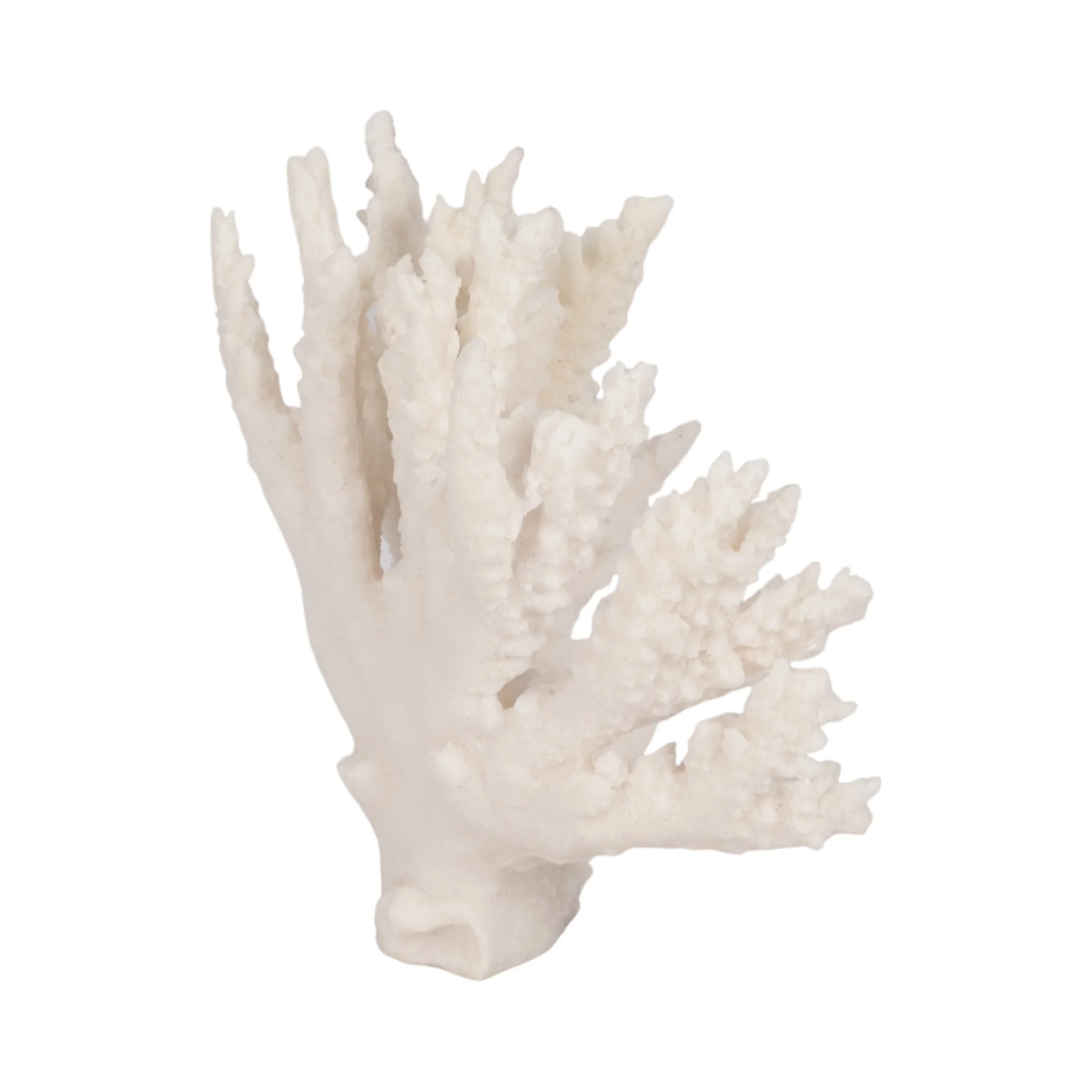 10" Coral Reef Decor, White - Image 3