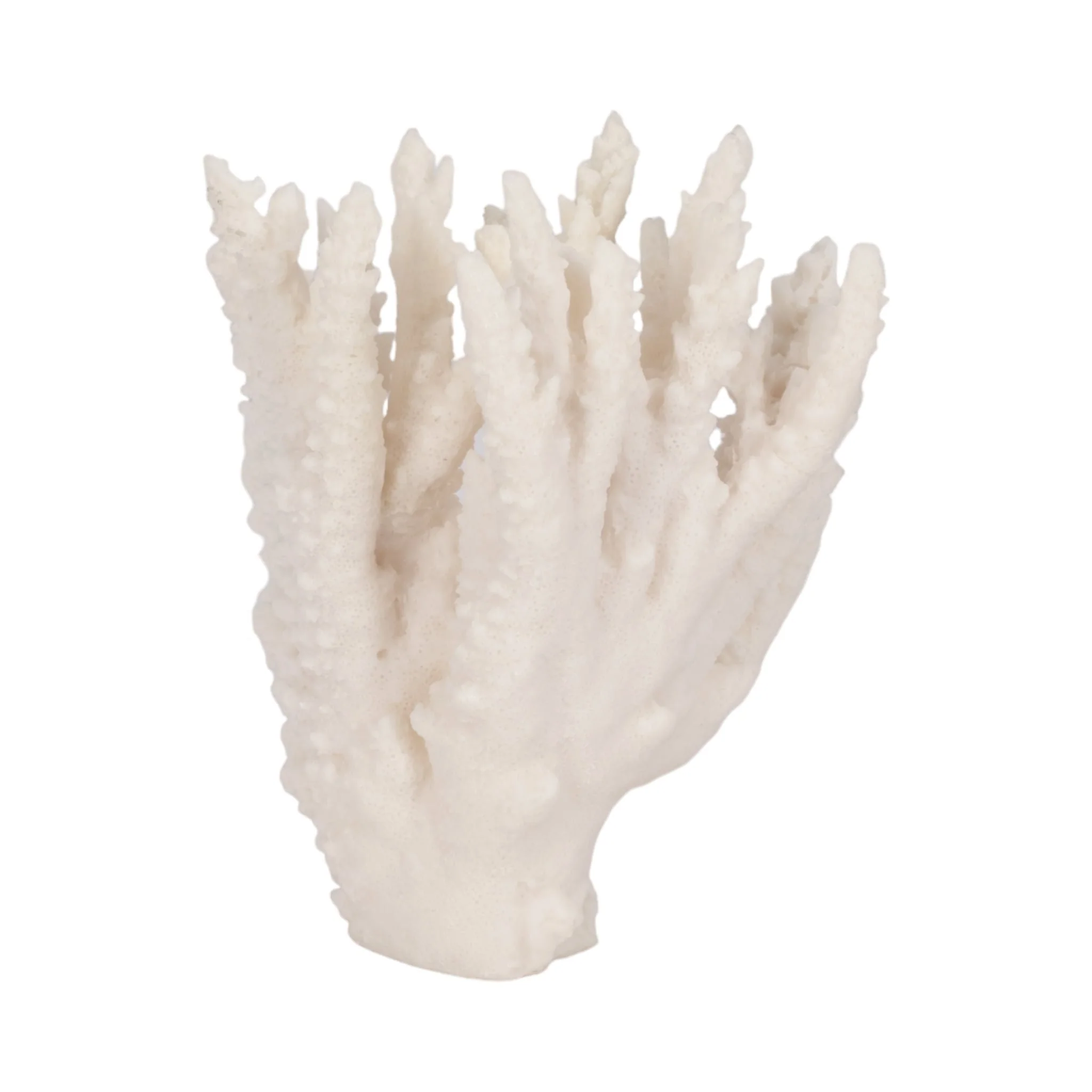 10" Coral Reef Decor, White - Image 4