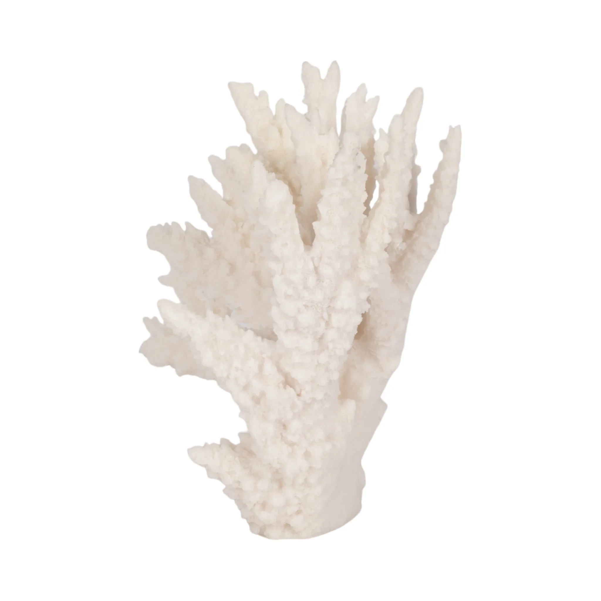 10" Coral Reef Decor, White - Image 5