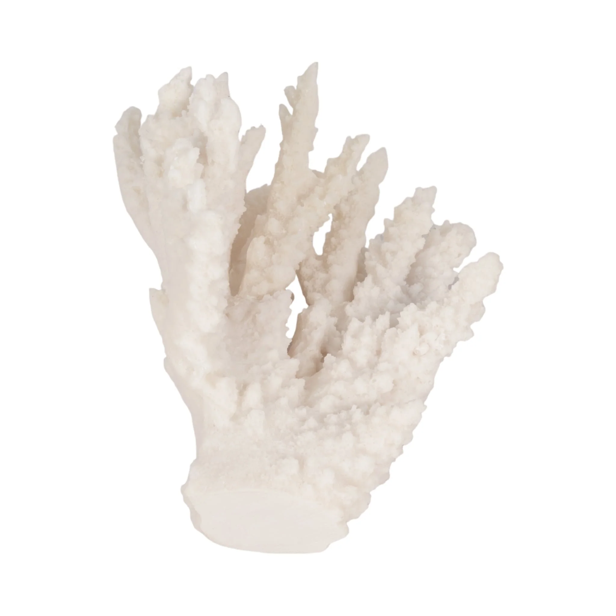 10" Coral Reef Decor, White - Image 8