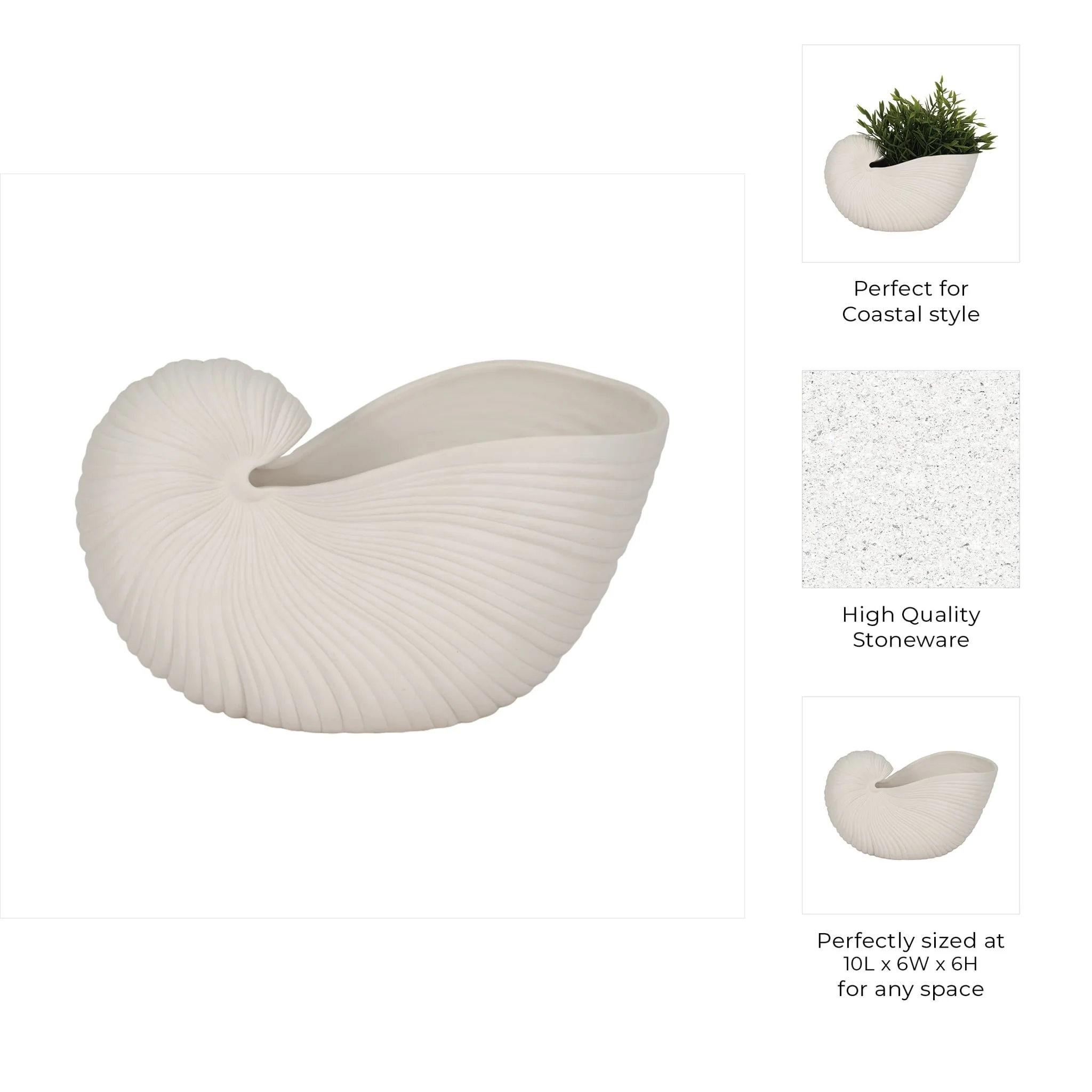 10" Nautilus Shell Planter, White - Image 10