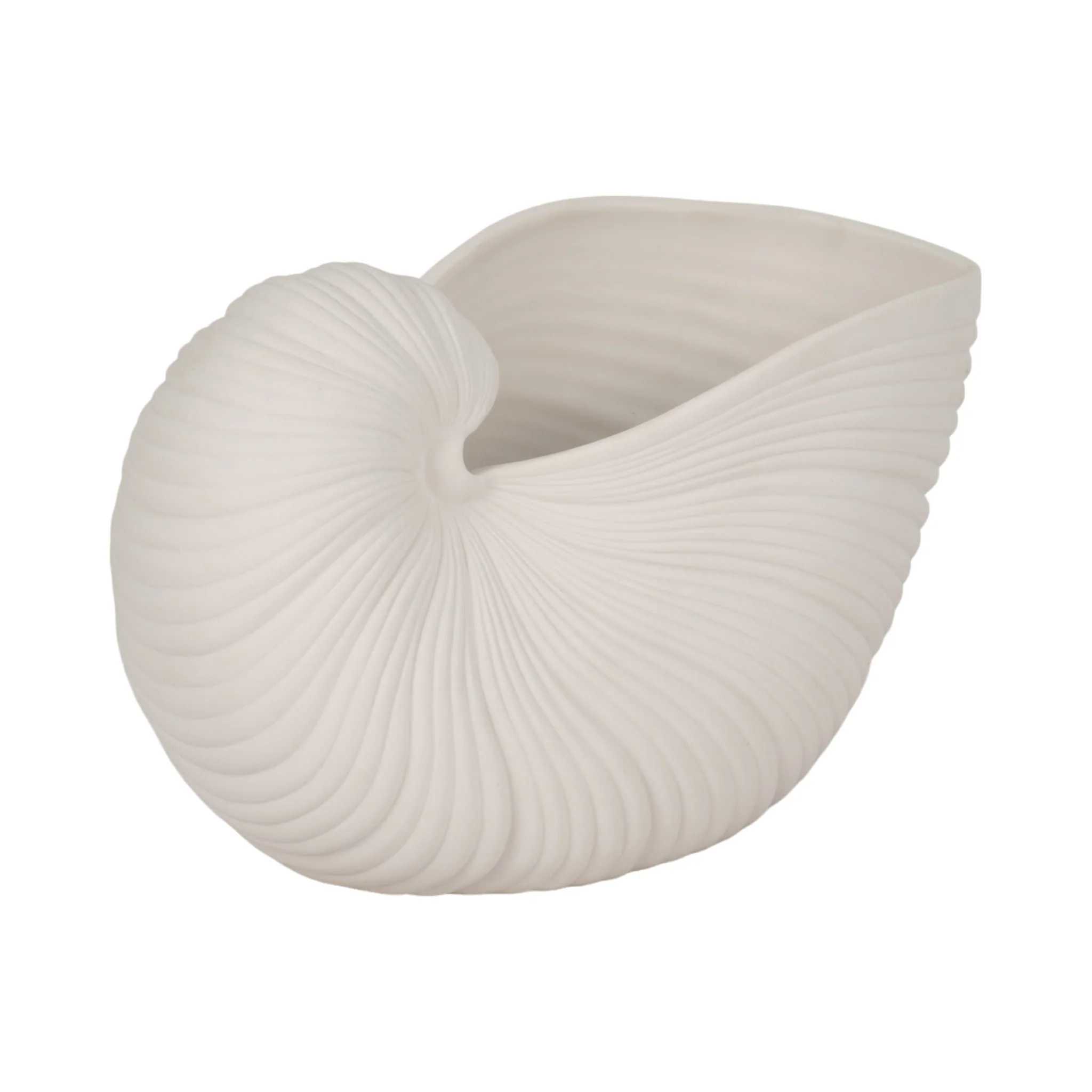 10" Nautilus Shell Planter, White - Image 3