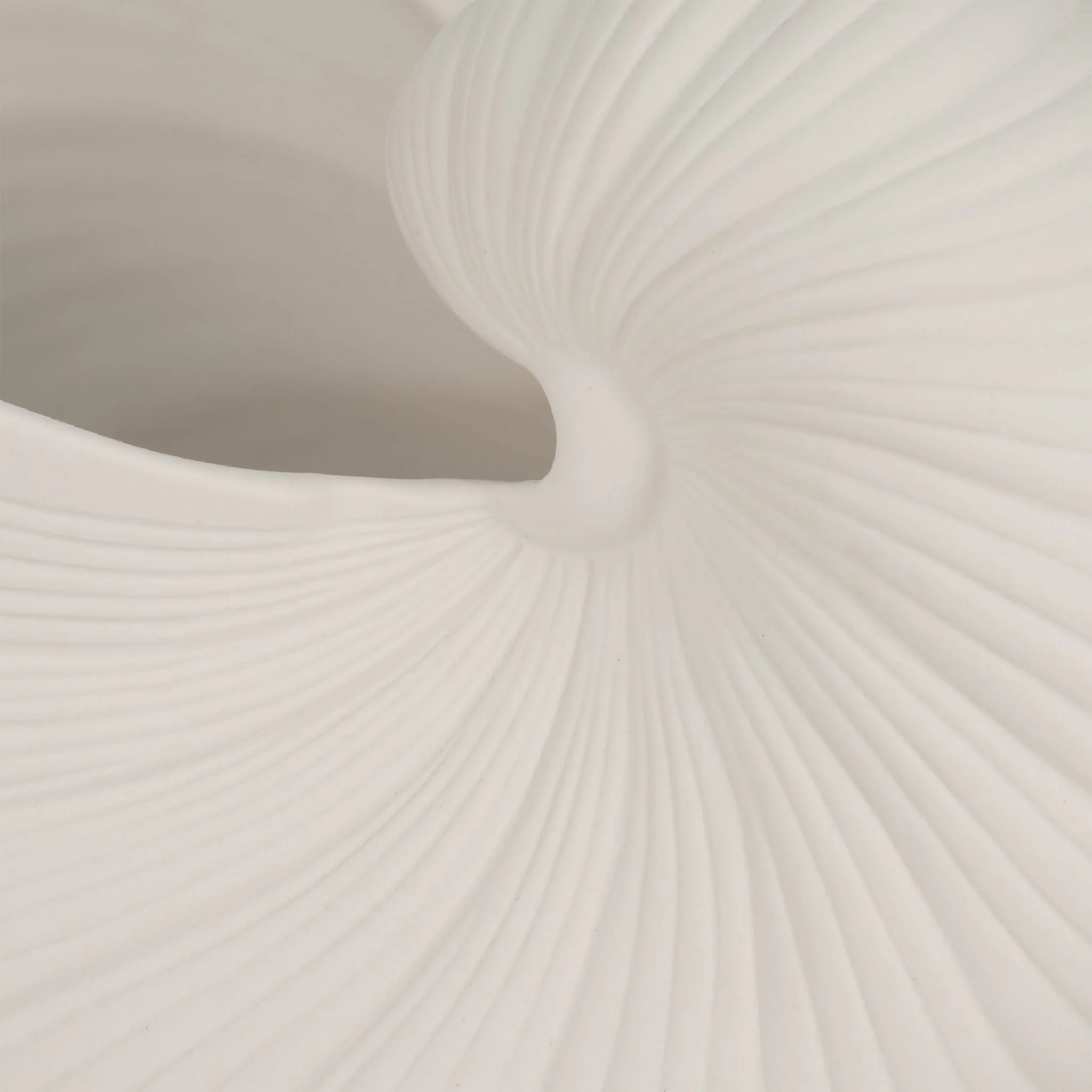 10" Nautilus Shell Planter, White - Image 6