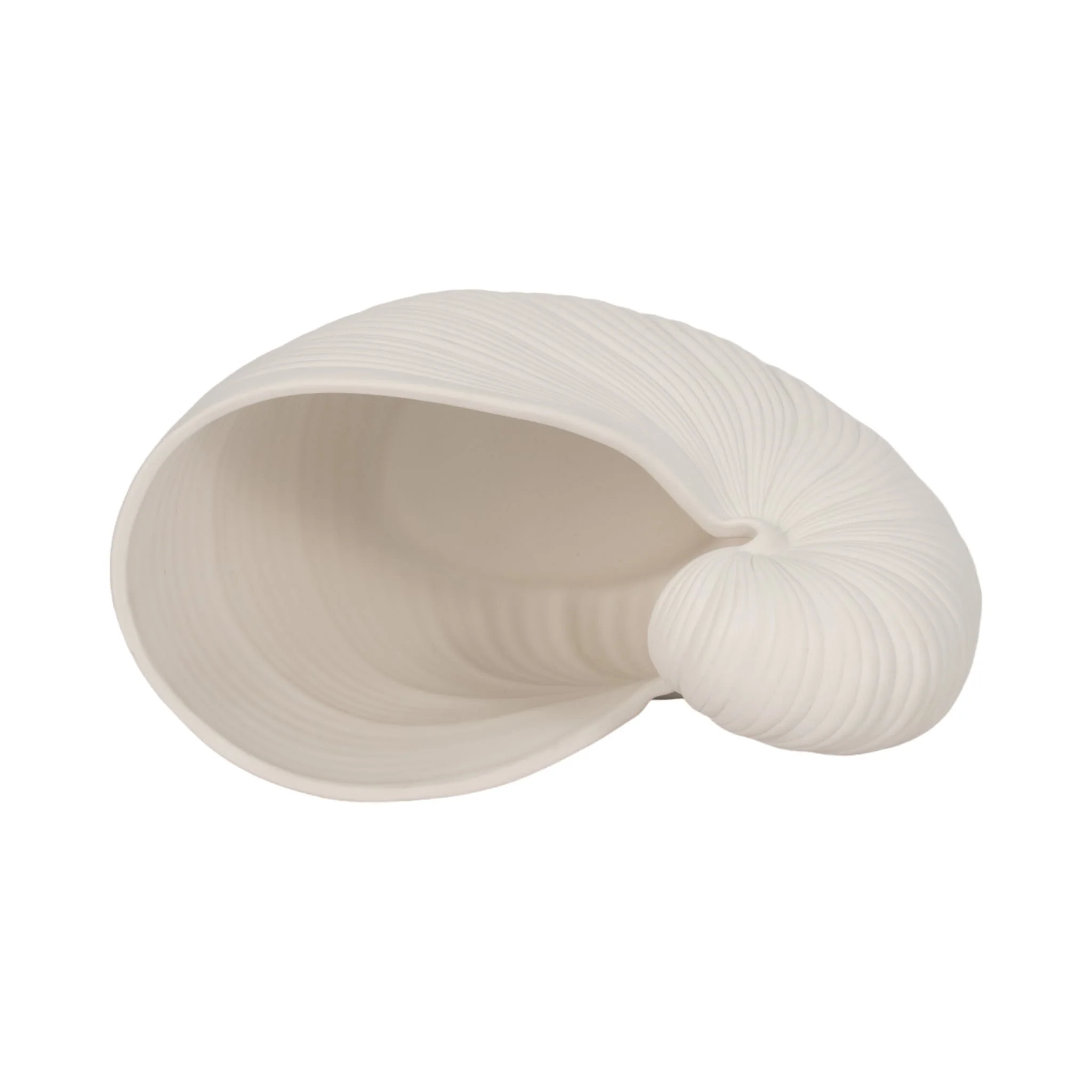 10" Nautilus Shell Planter, White - Image 7