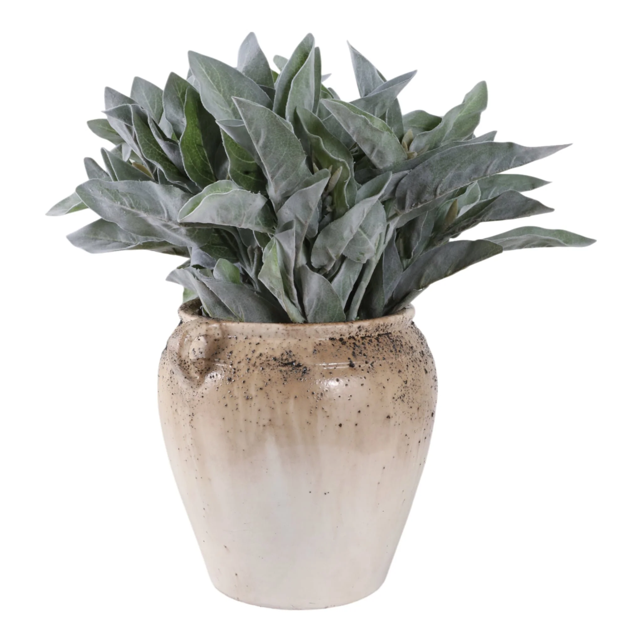 11x10" Textured Terracotta 2-handle Vase,ivry/brwn - Image 2