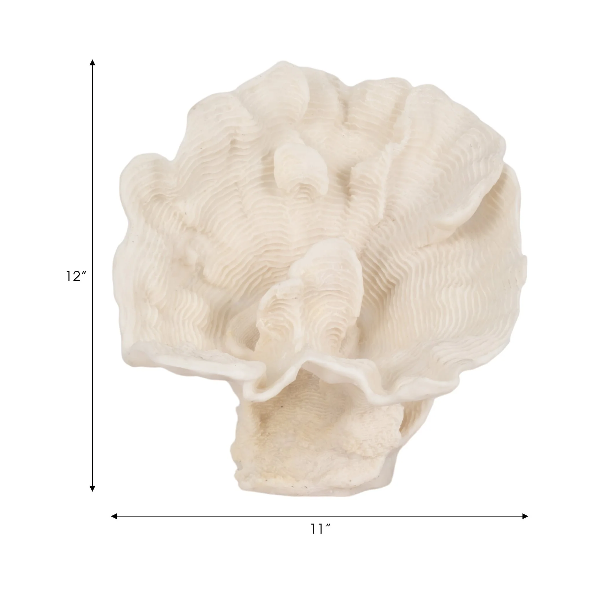 12" Coral Fan Decor, Ivory - Image 8