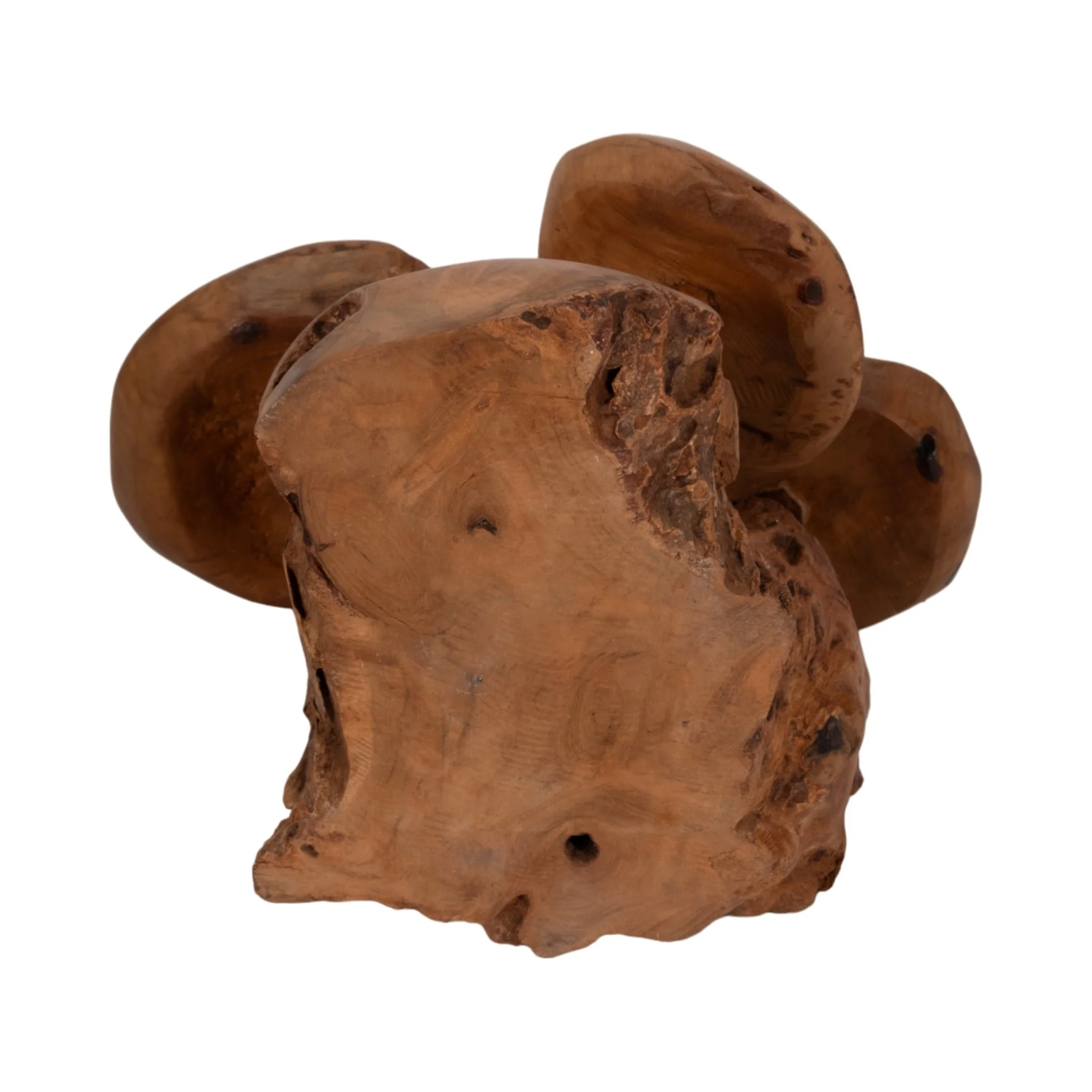 12" Teak Wood Mushroom Cluster, Natural - Image 7