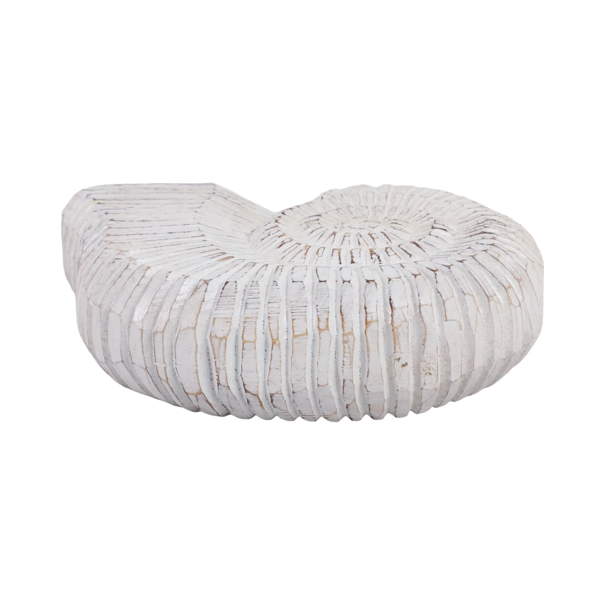12" Wooden Snail Decor, Wht - Image 6