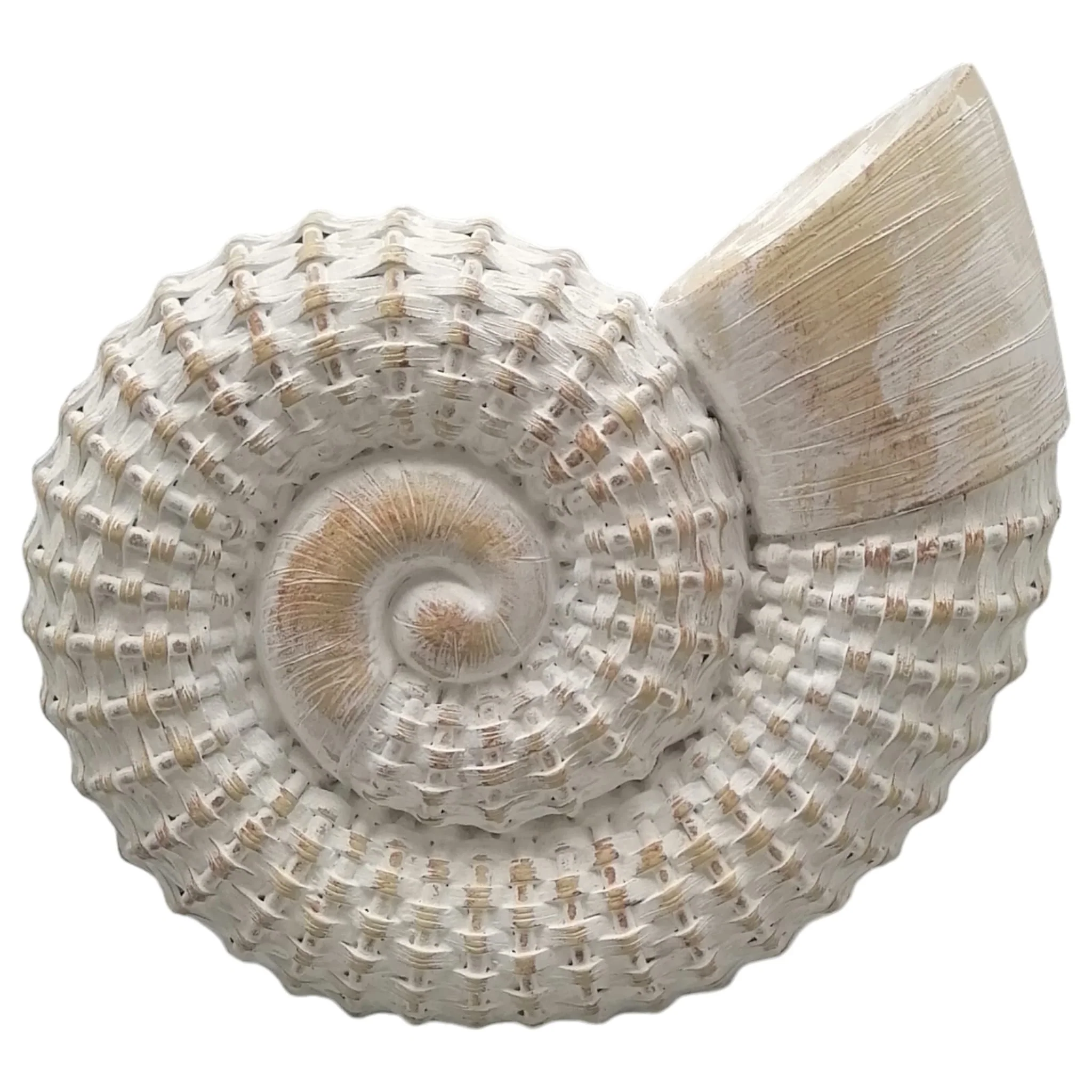 12x11" Woven Shell Decor, White - Image 3