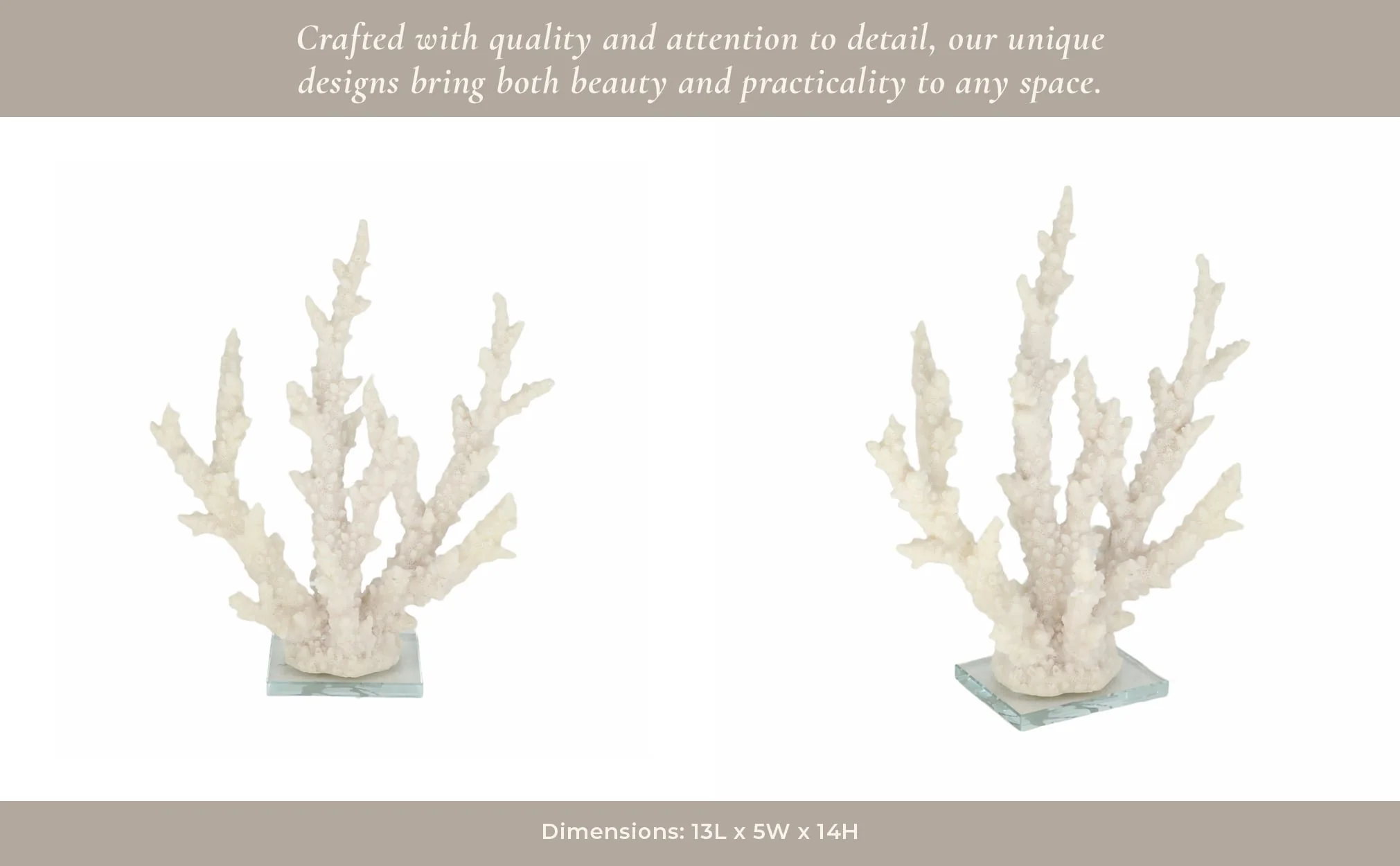 14" Branching Coral On Glass Base, White - Image 12