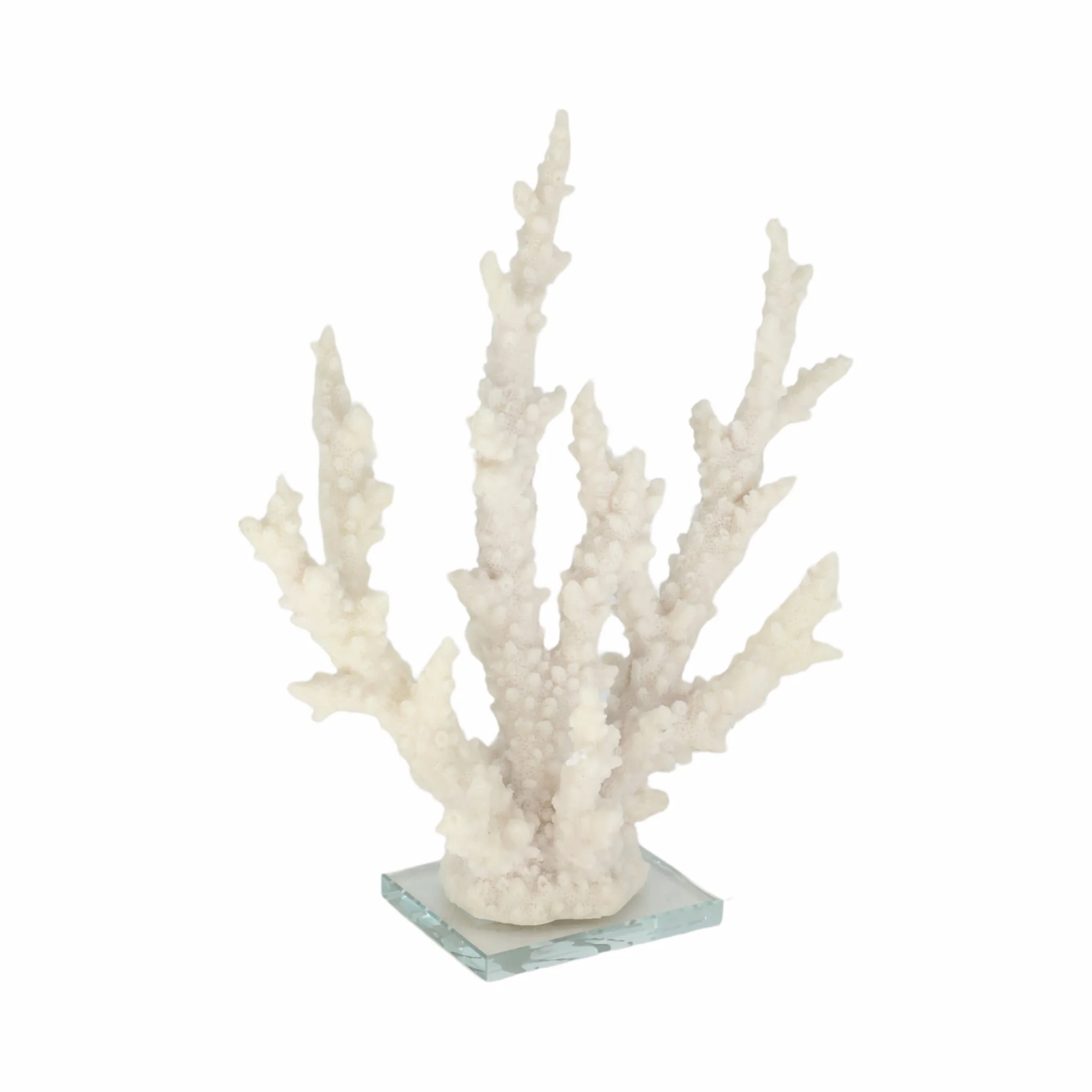 14" Branching Coral On Glass Base, White - Image 2