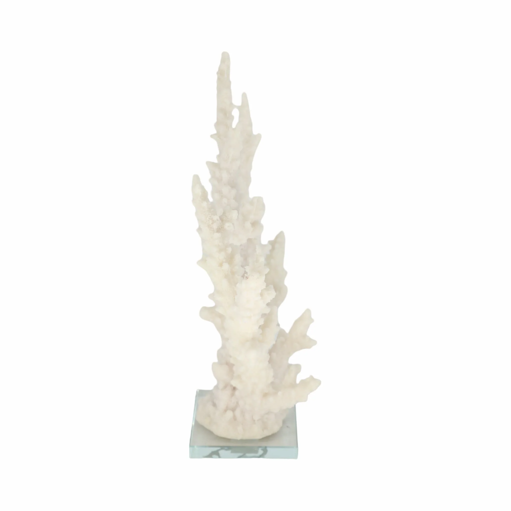 14" Branching Coral On Glass Base, White - Image 3