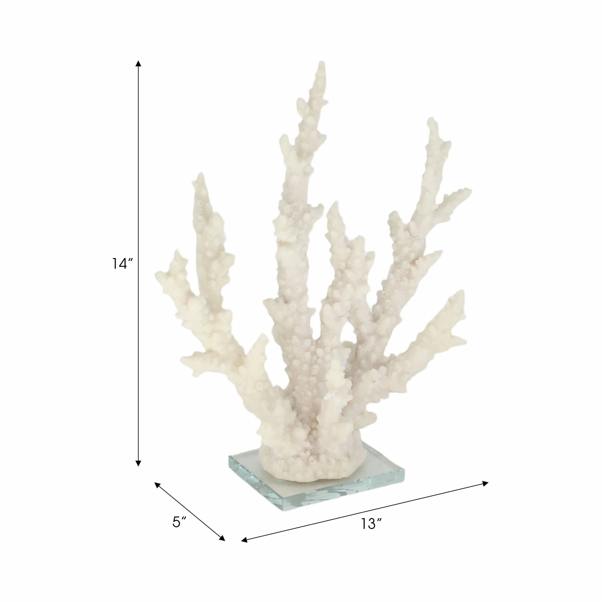 14" Branching Coral On Glass Base, White - Image 8