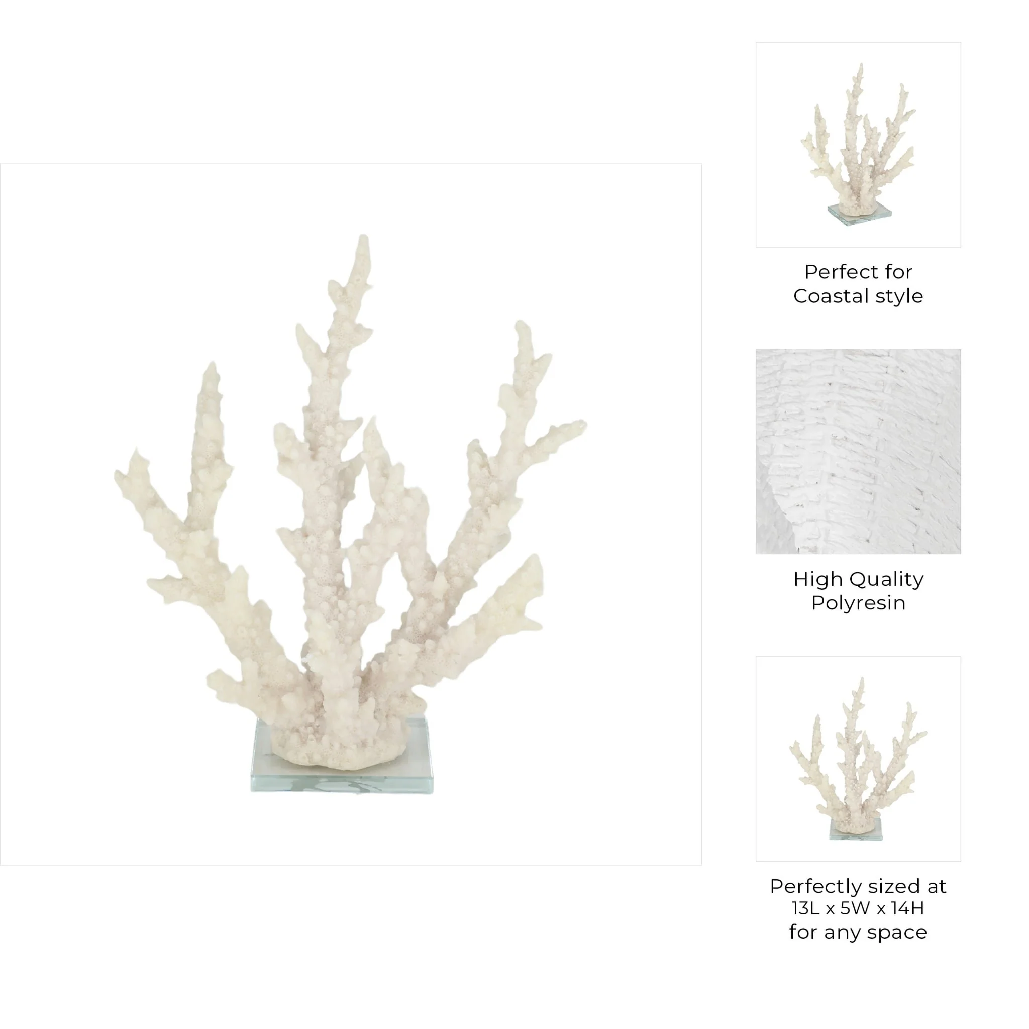 14" Branching Coral On Glass Base, White - Image 9