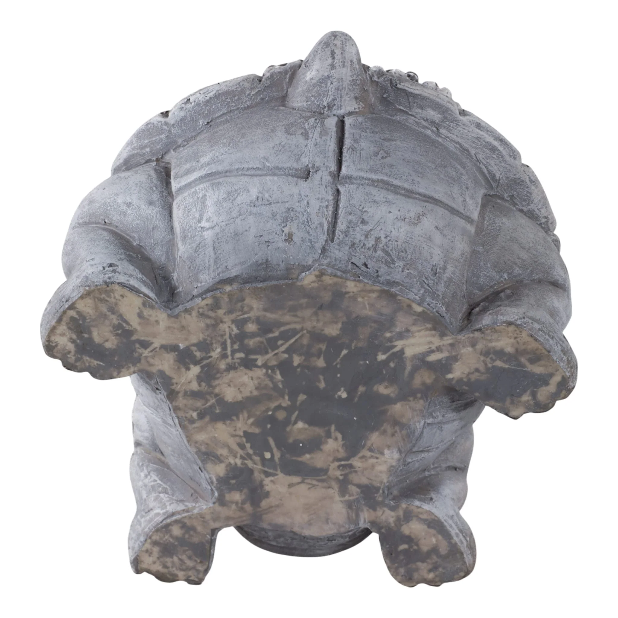 14x10" Turtle With Solar Flowers, Grey Multi - Image 7