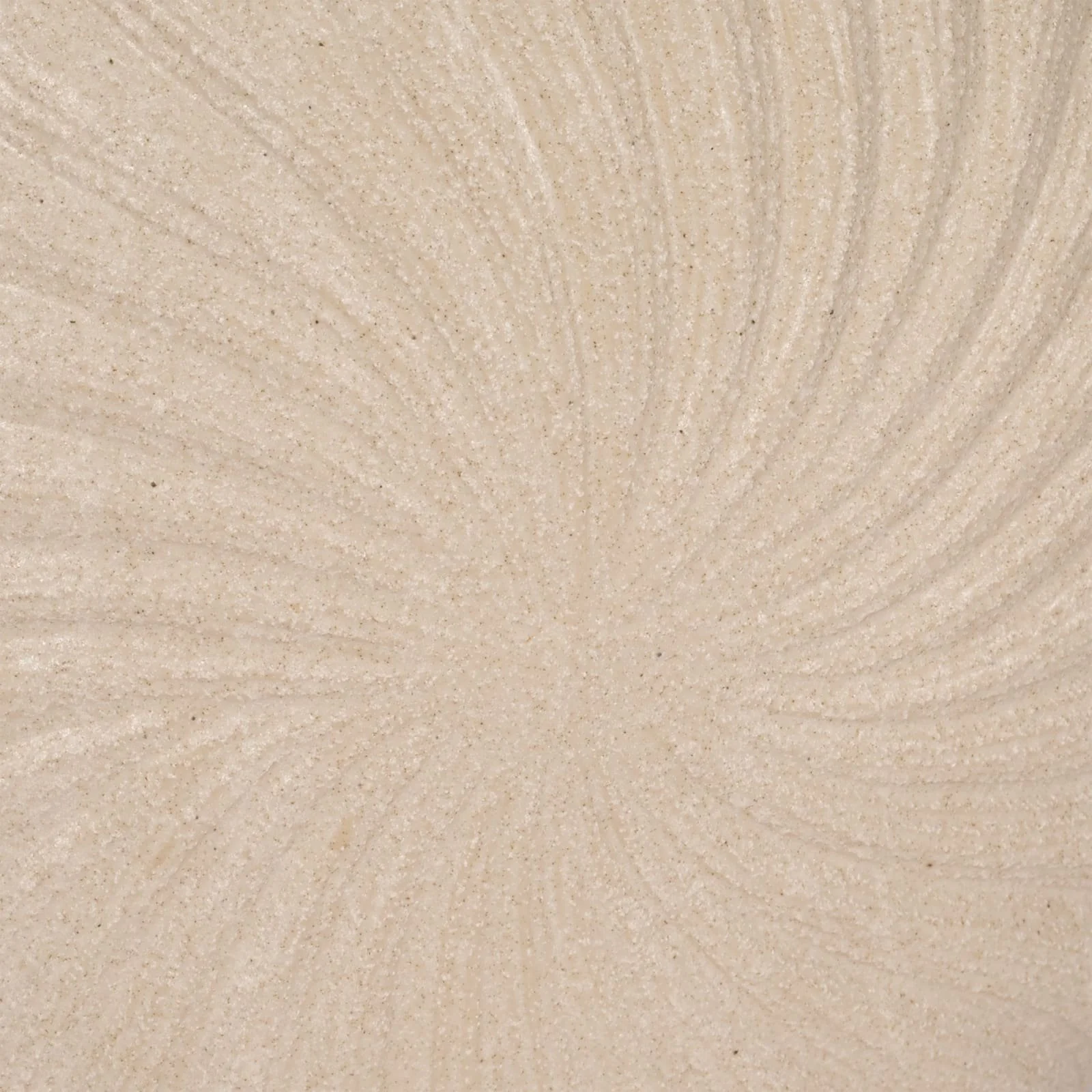 15" White Sand Shell Vase, White - Image 5