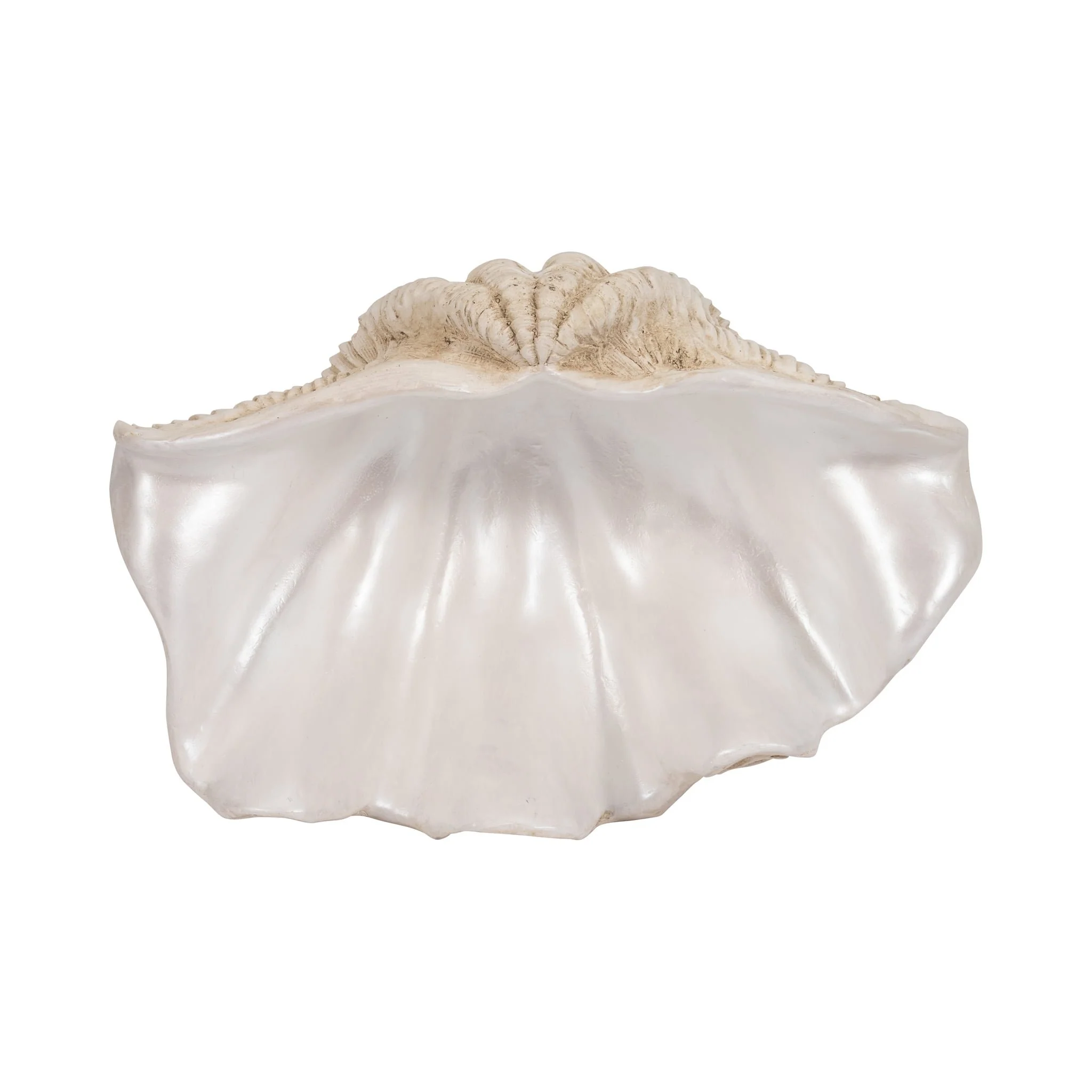 16" Pearlized Clam Shell Bowl, Ivory - Image 6
