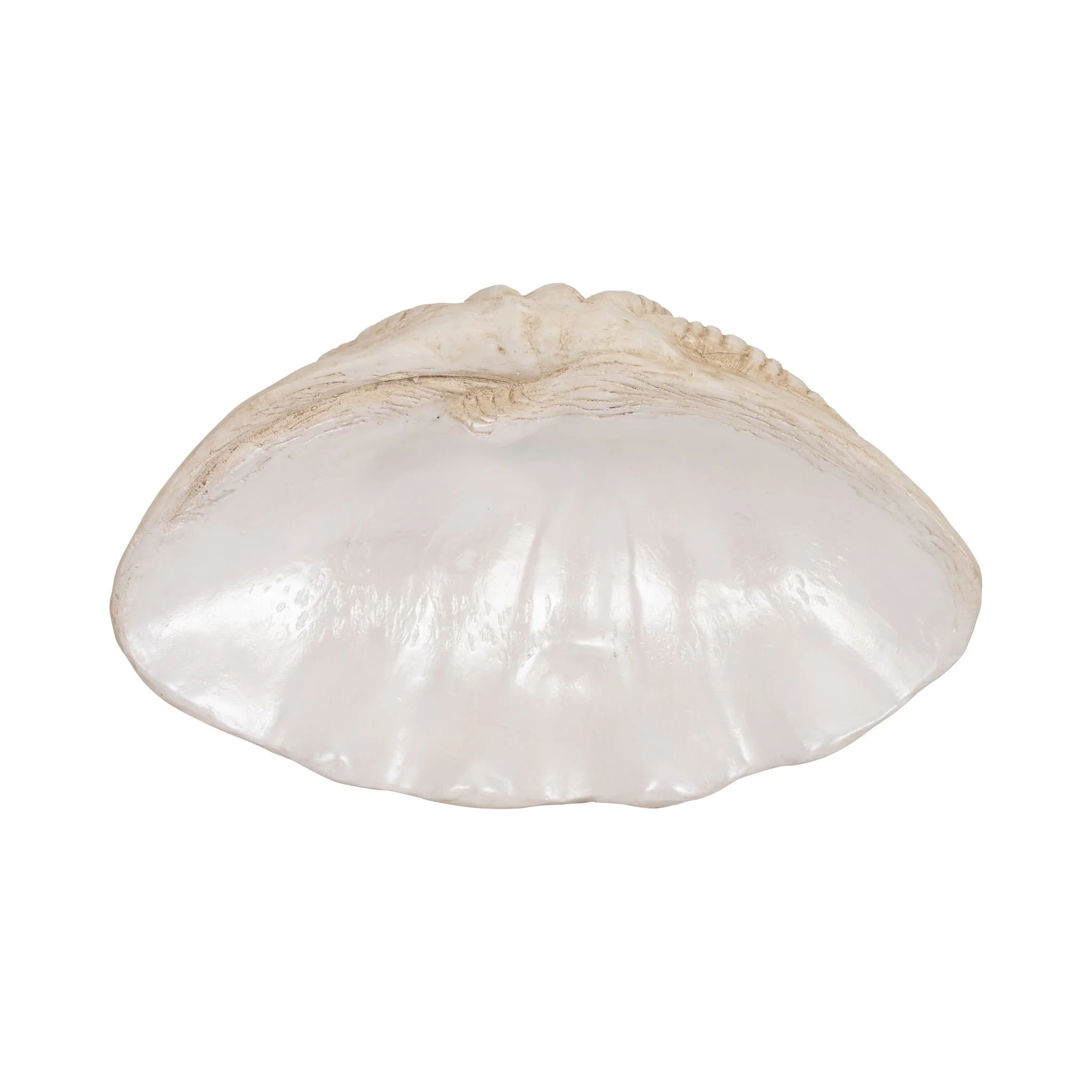 16" Pearlized Shell Bowl, Ivory - Image 6