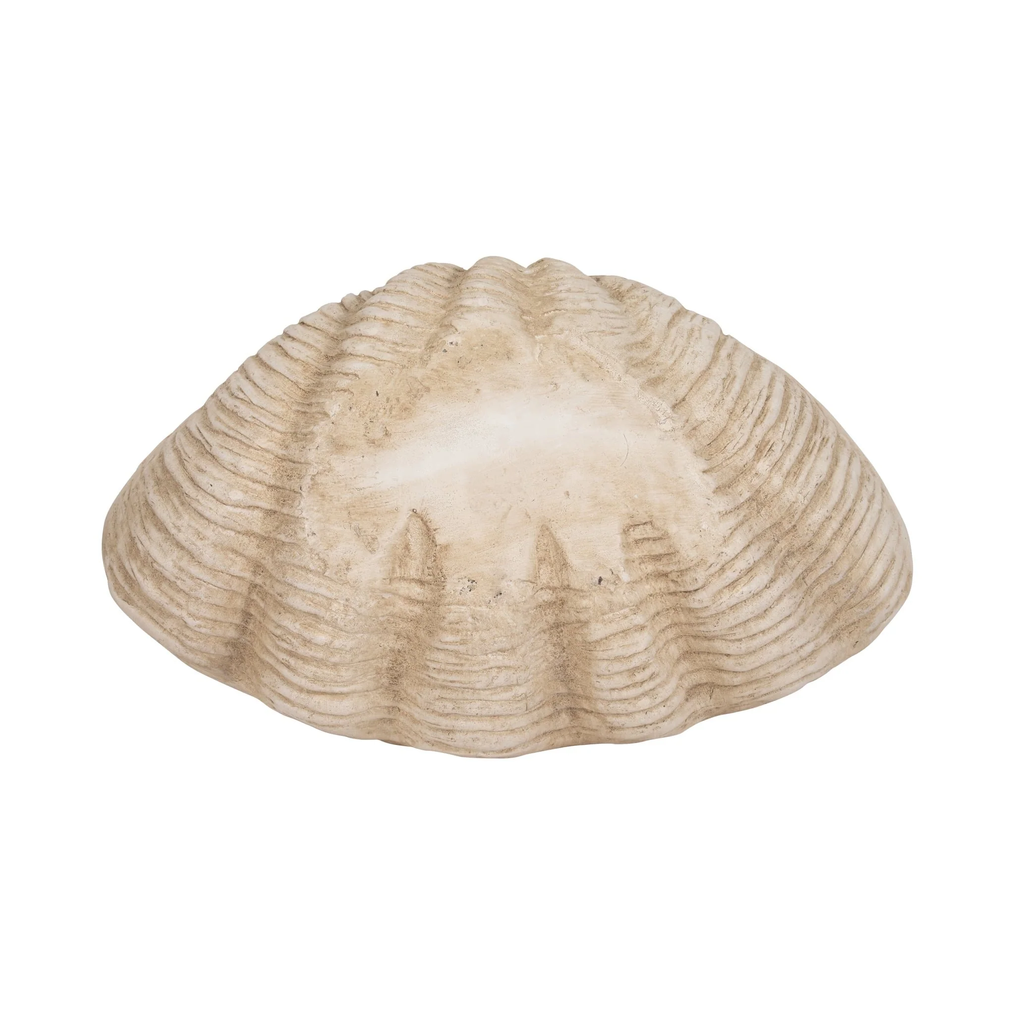16" Pearlized Shell Bowl, Ivory - Image 7