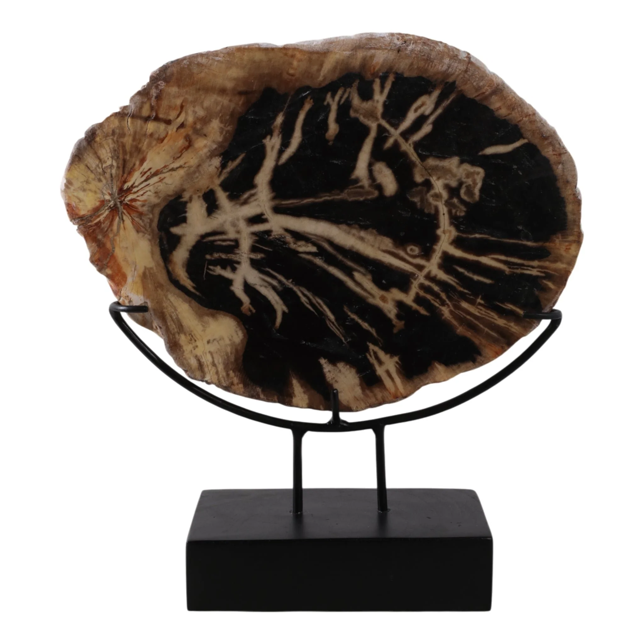 17x14" Petrified Wood Disc On Stand, Black/brown - Image 4