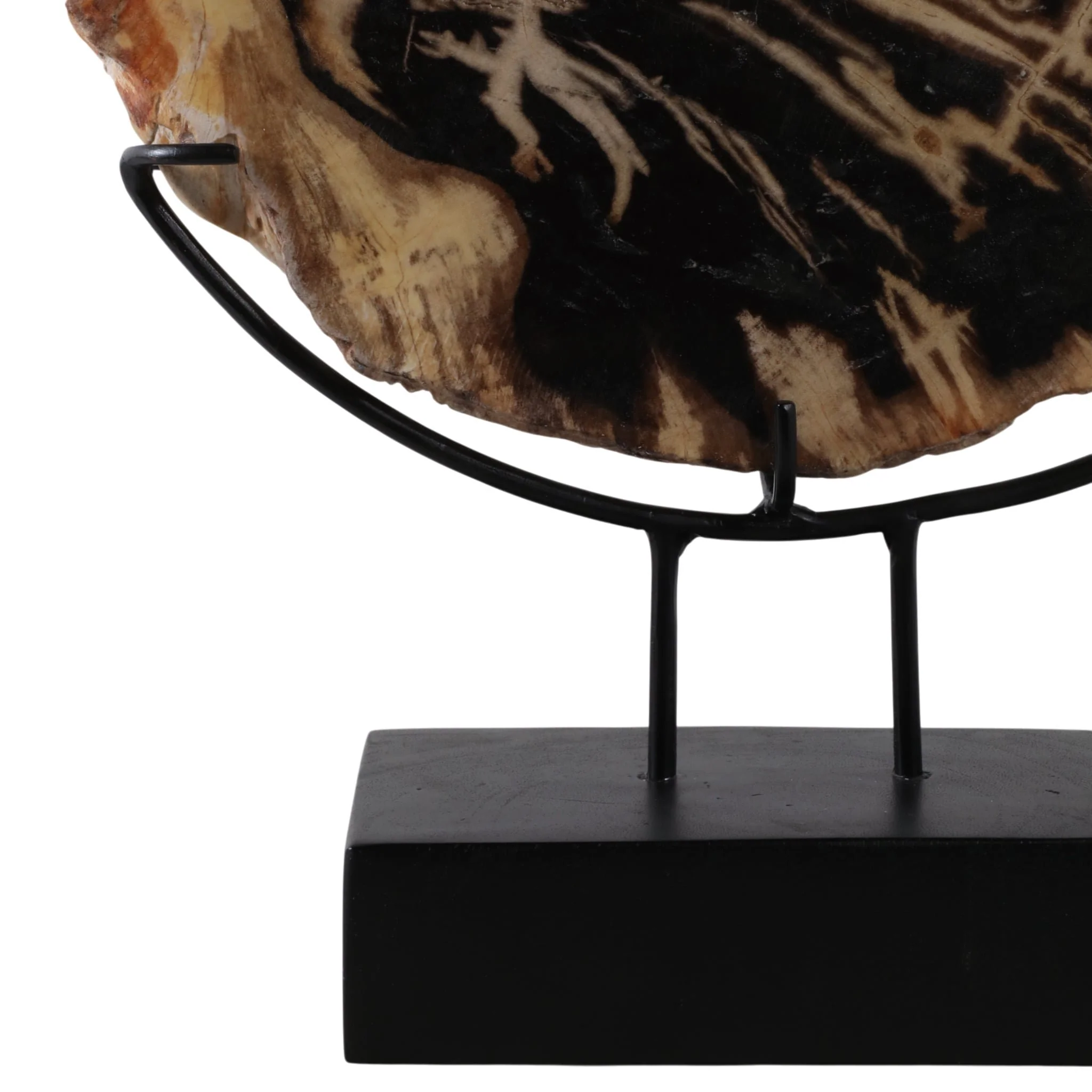 17x14" Petrified Wood Disc On Stand, Black/brown - Image 5