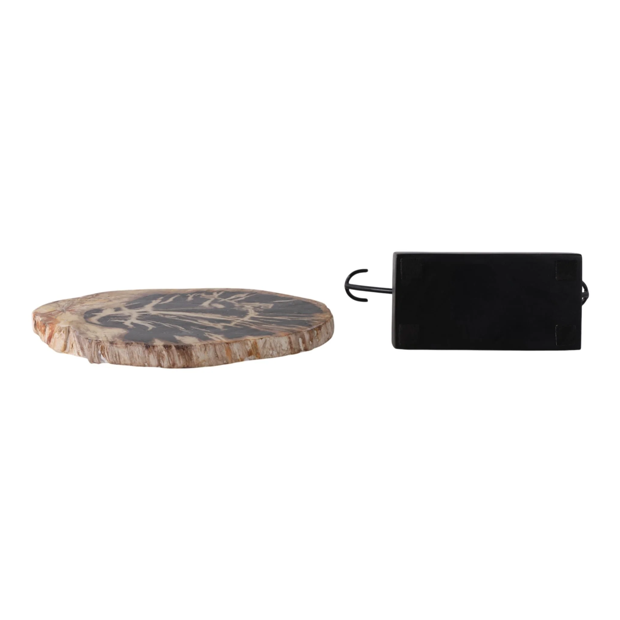 17x14" Petrified Wood Disc On Stand, Black/brown - Image 8