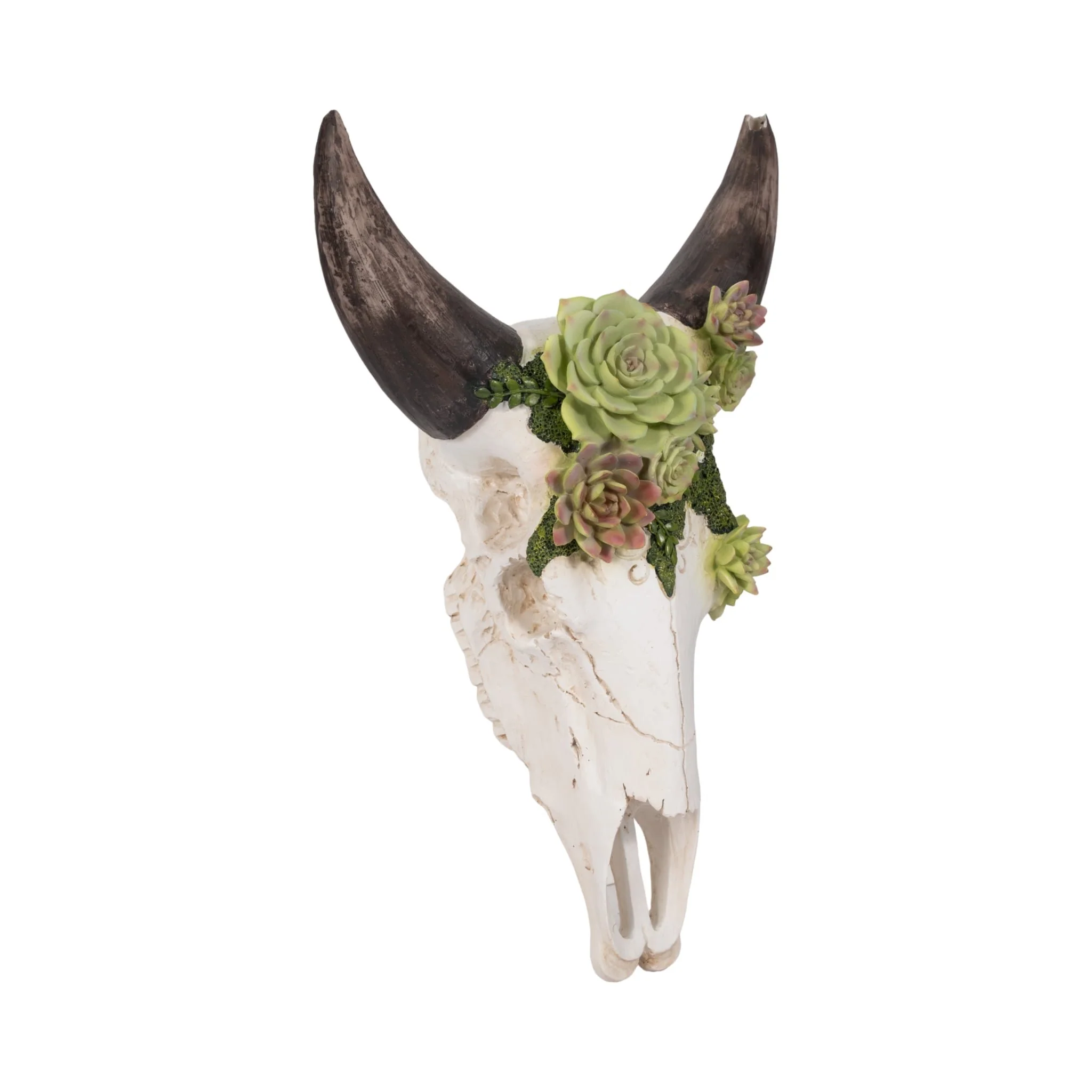 18" Bull Skull With Succulents, Multi - Image 2