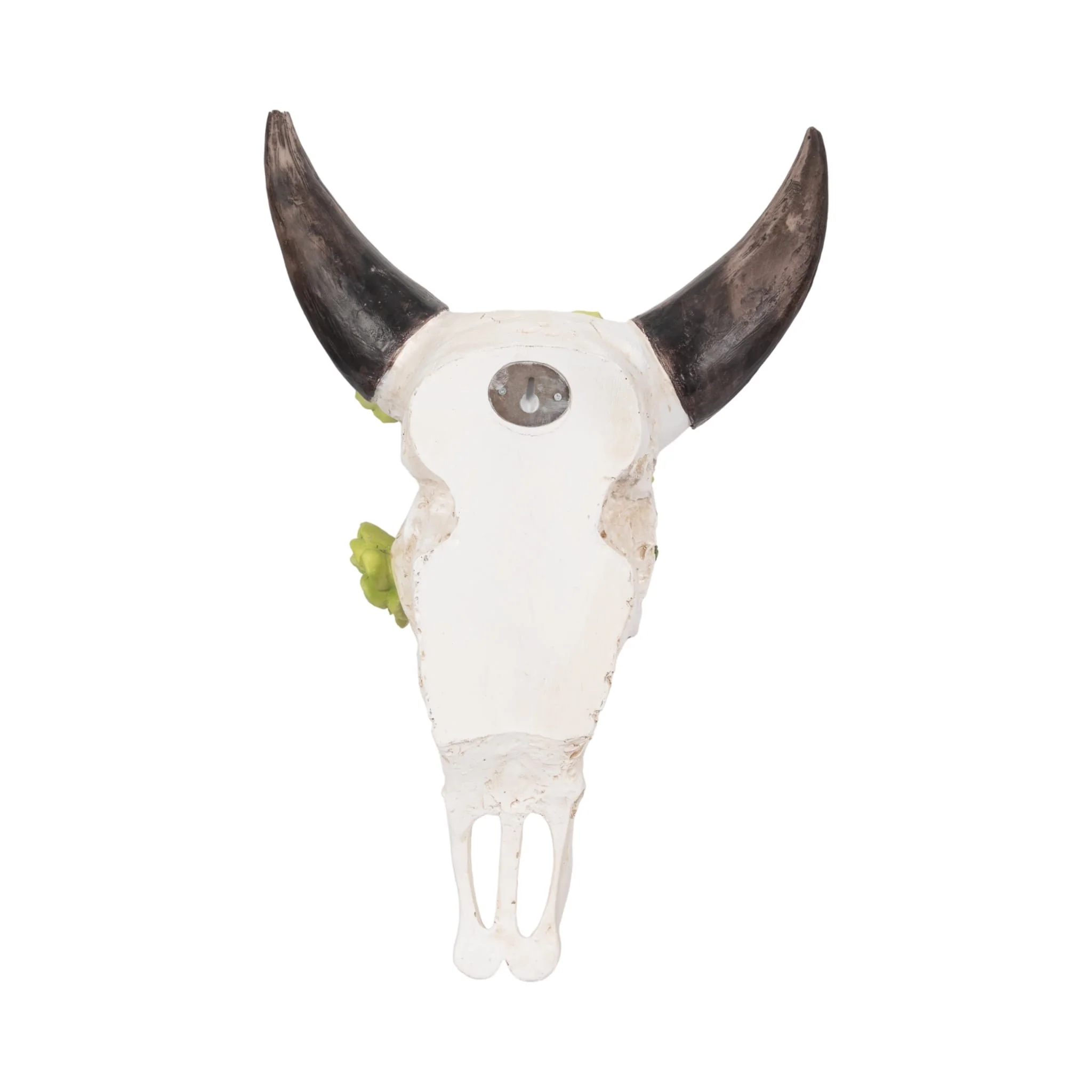 18" Bull Skull With Succulents, Multi - Image 5