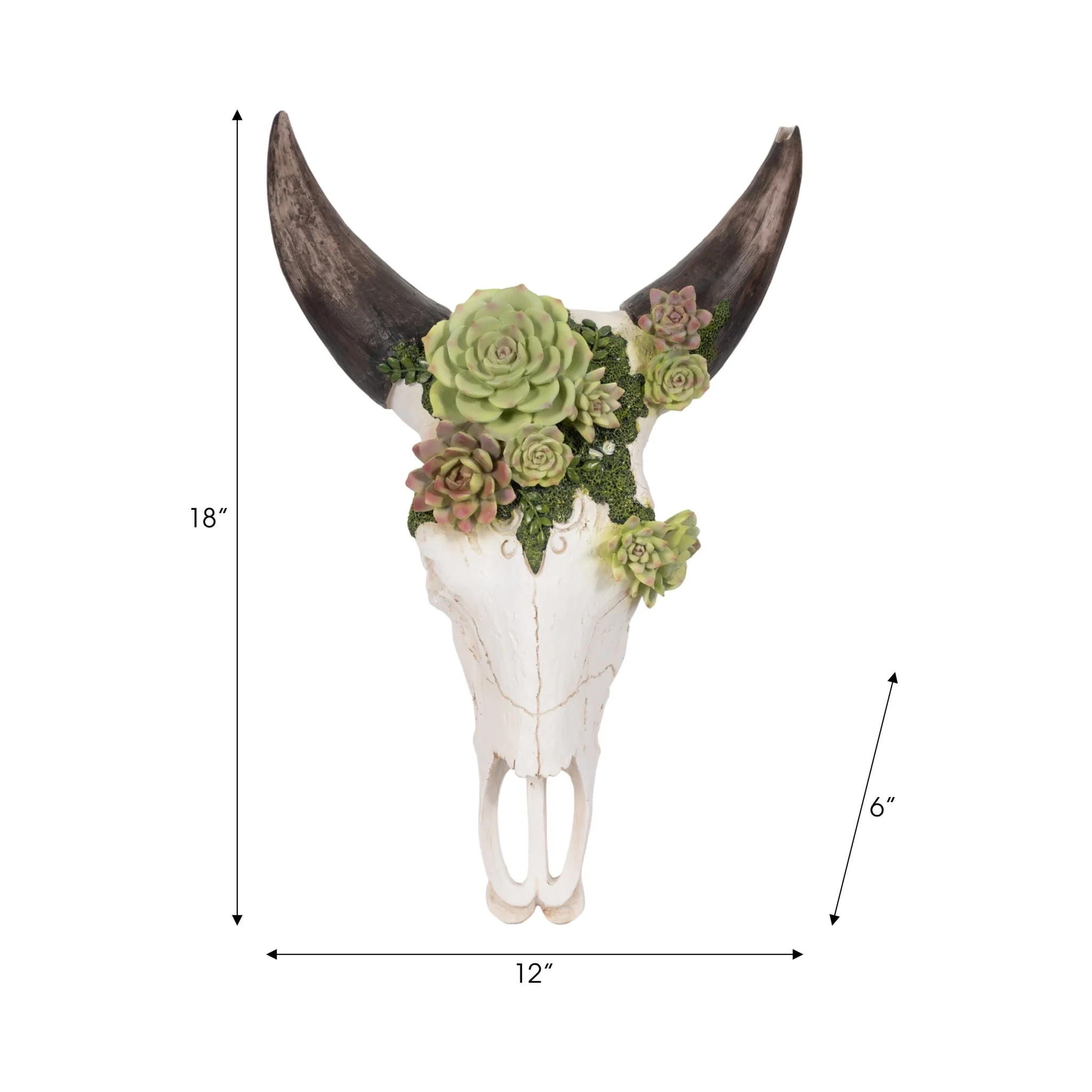 18" Bull Skull With Succulents, Multi - Image 6