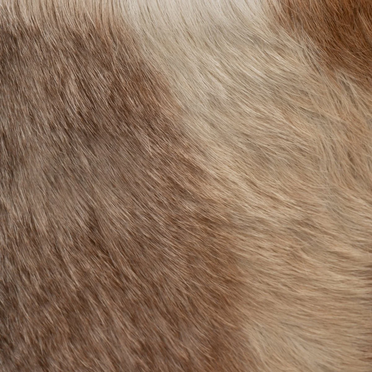 18" Cowhide Ottoman, Multi - Image 5