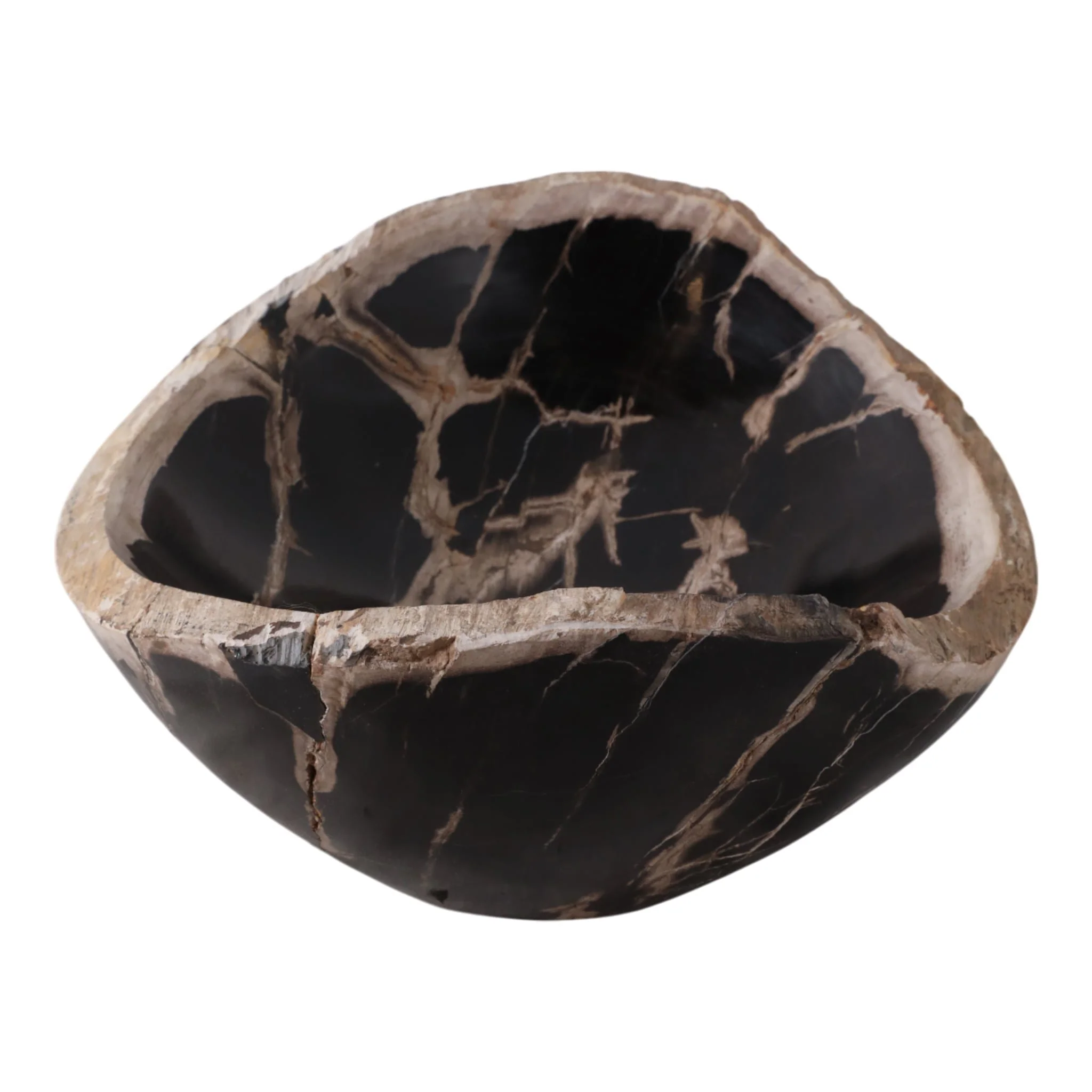 18" Petrified Wood Oval Bowl, Multi - Image 3