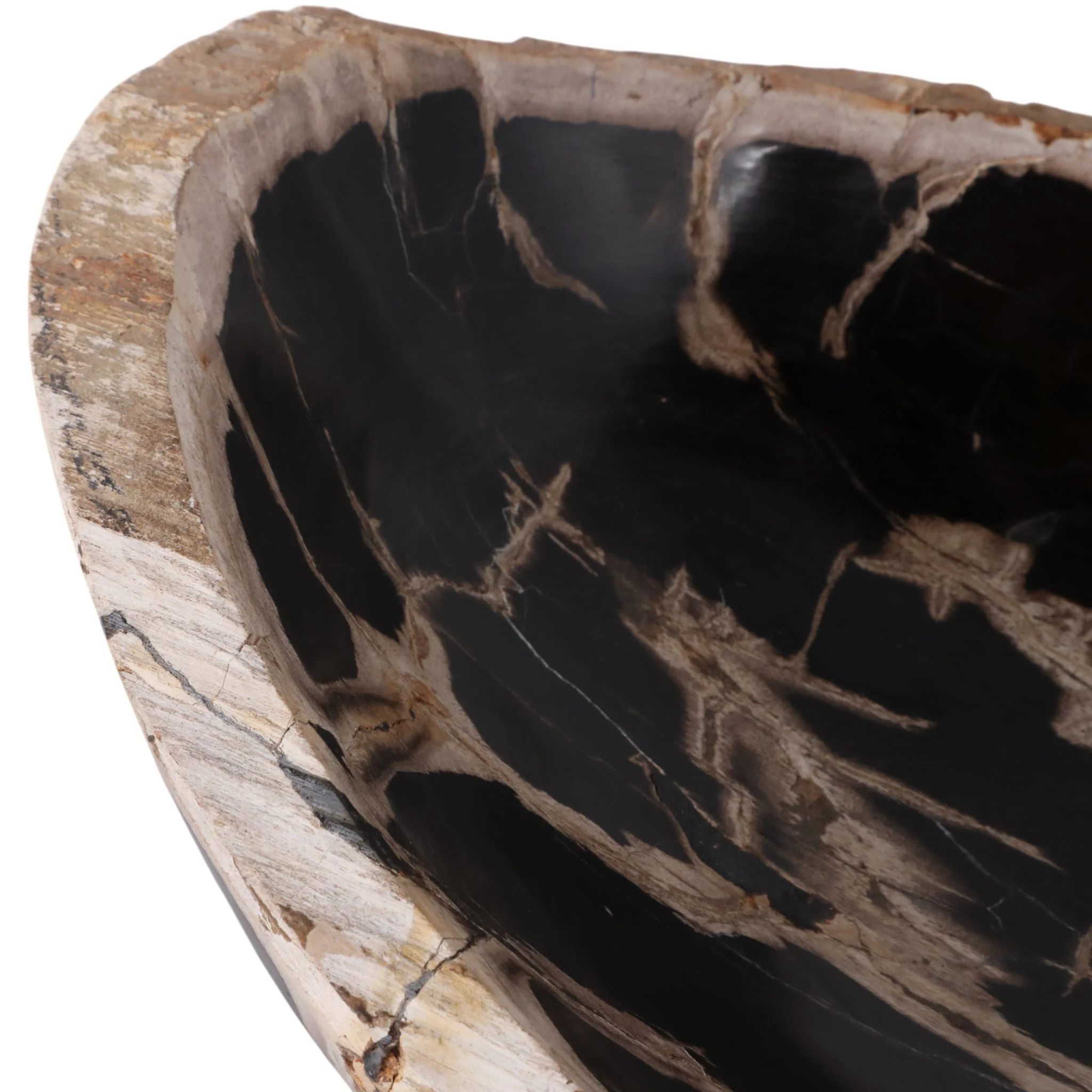 18" Petrified Wood Oval Bowl, Multi - Image 5