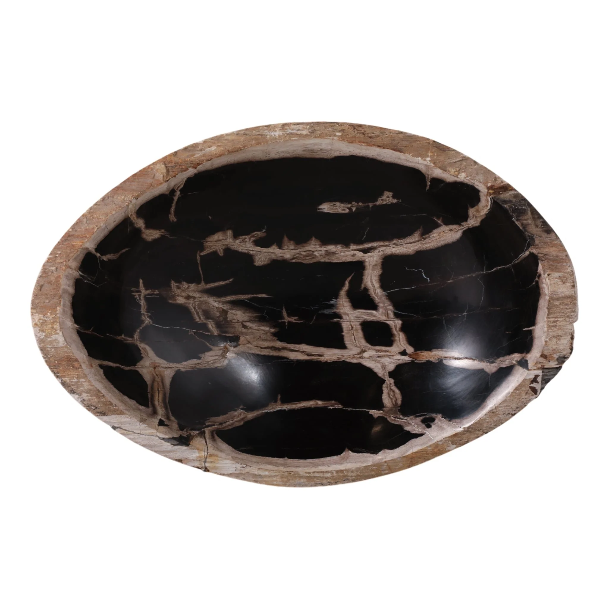18" Petrified Wood Oval Bowl, Multi - Image 6