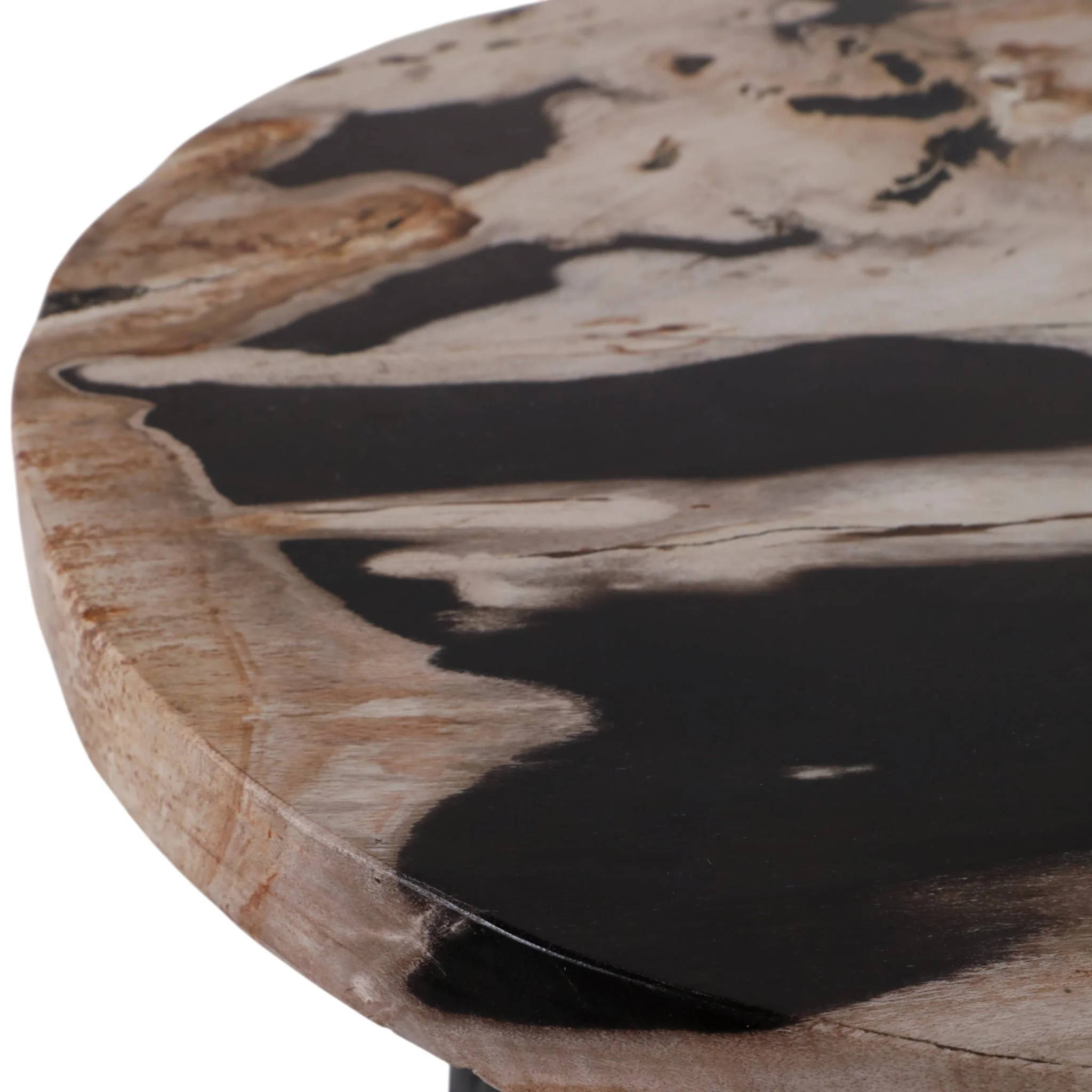 18" Petrified Wood Top Accent Table Dimple Base - Image 6