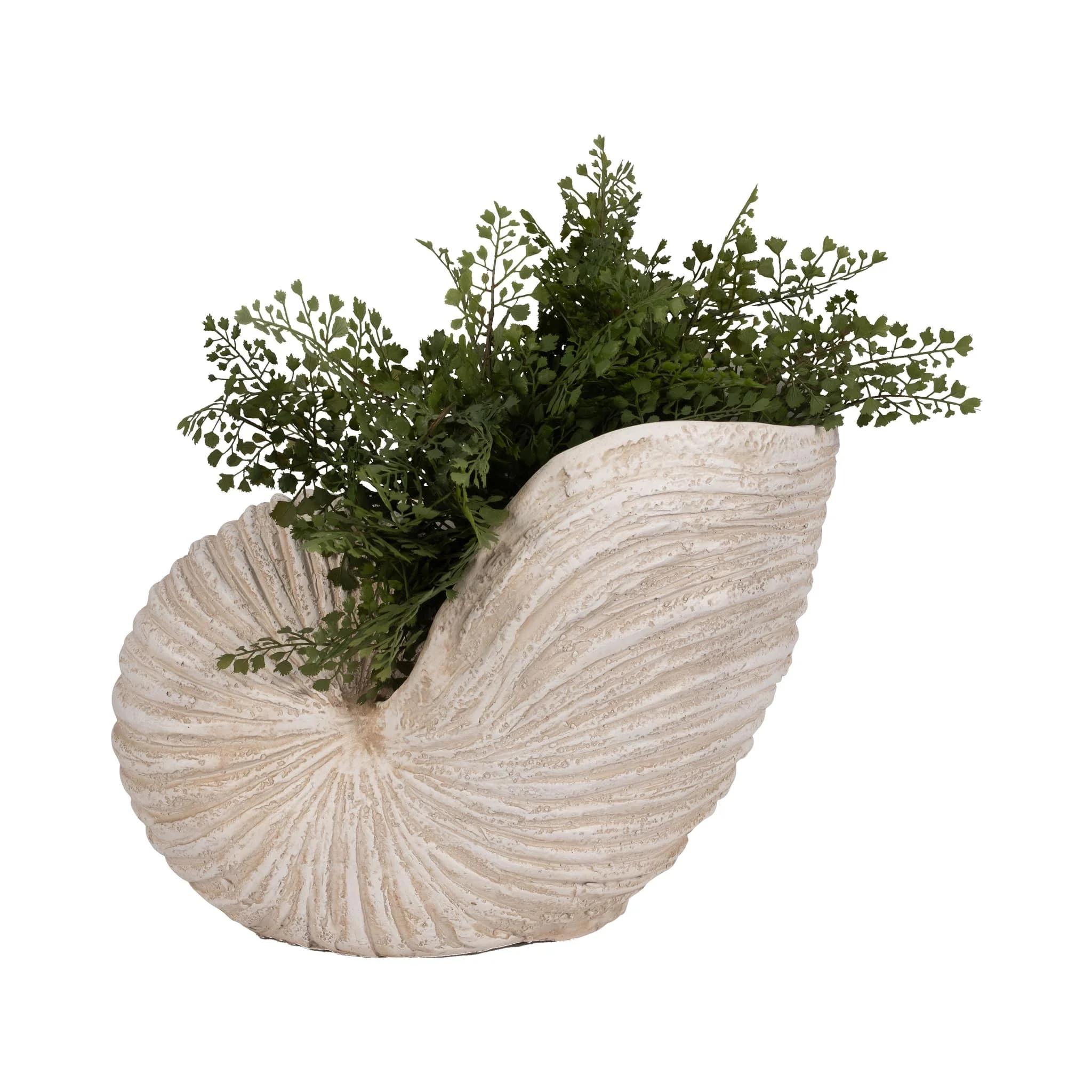 18" Shell Sculpture, Ivory - Image 2