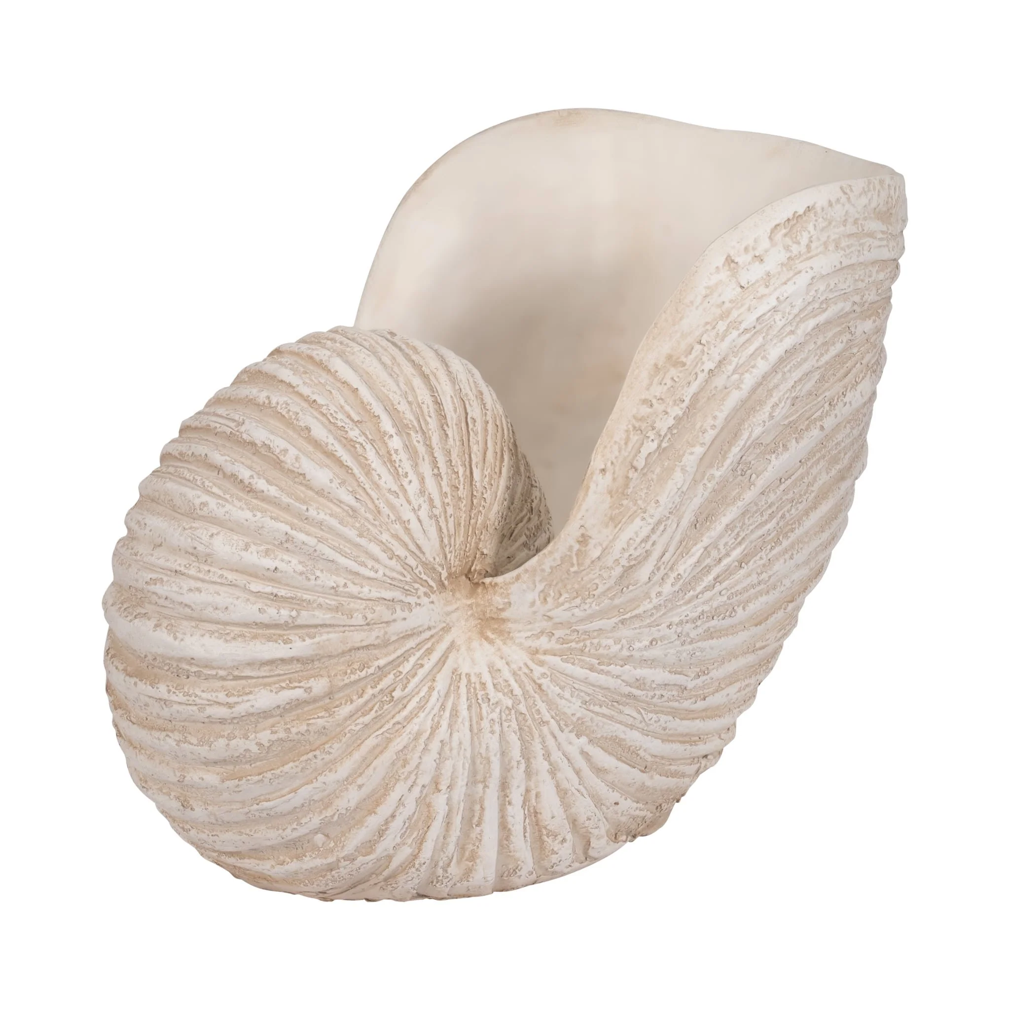 18" Shell Sculpture, Ivory - Image 3