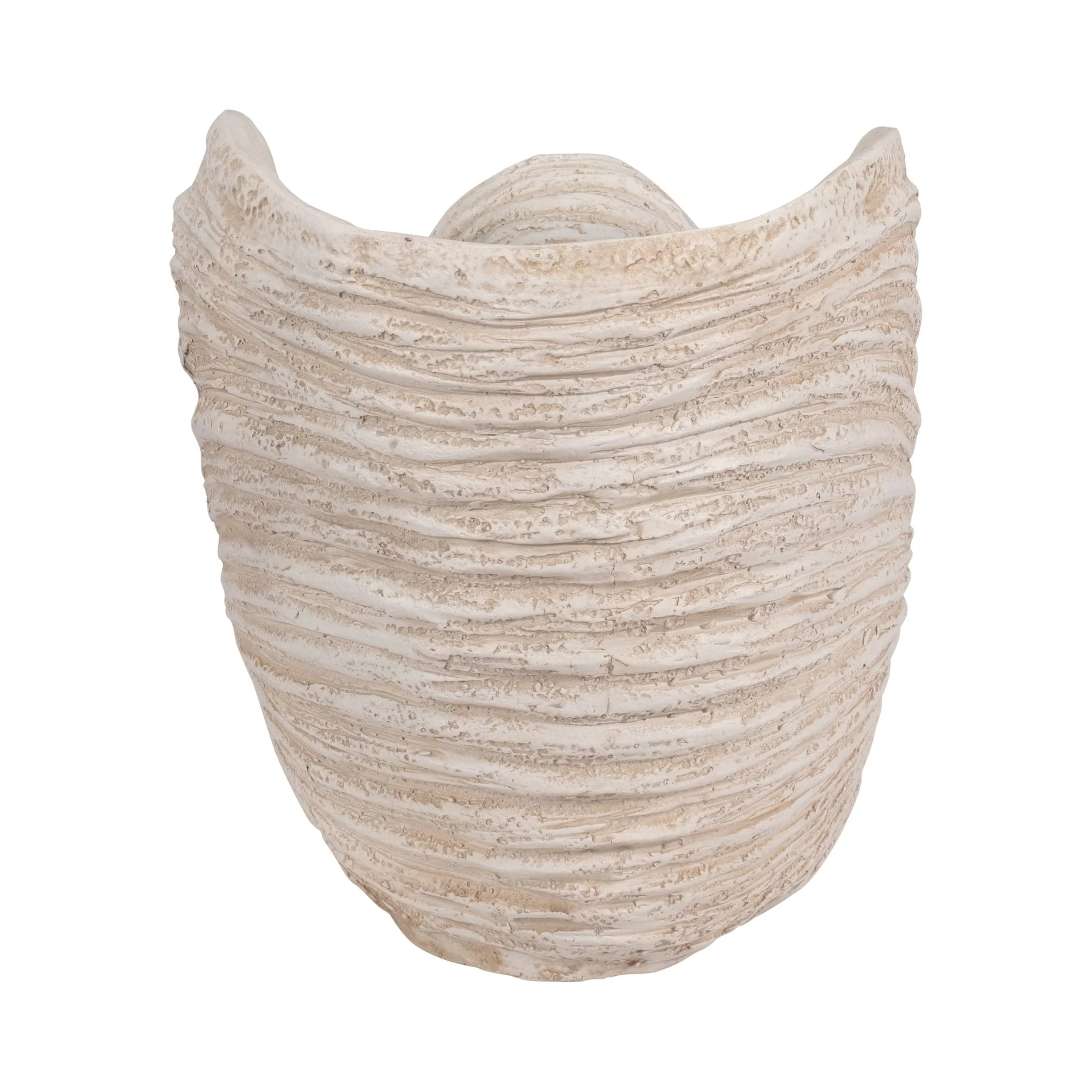 18" Shell Sculpture, Ivory - Image 5