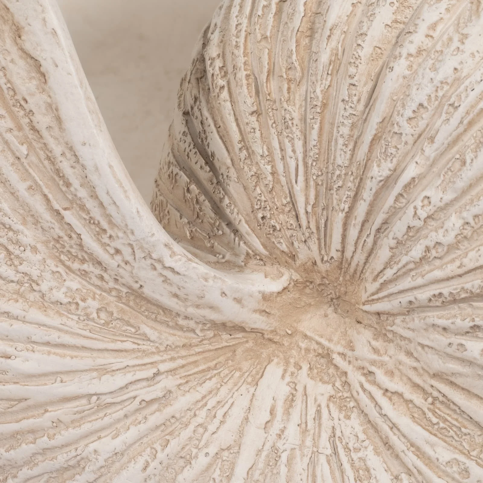 18" Shell Sculpture, Ivory - Image 6