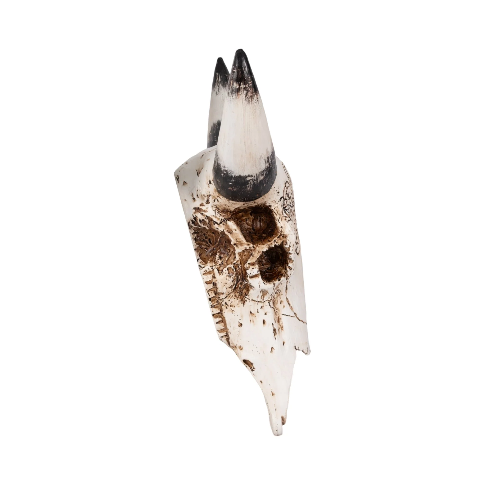 19" Western Bull Skull, Brown - Image 3
