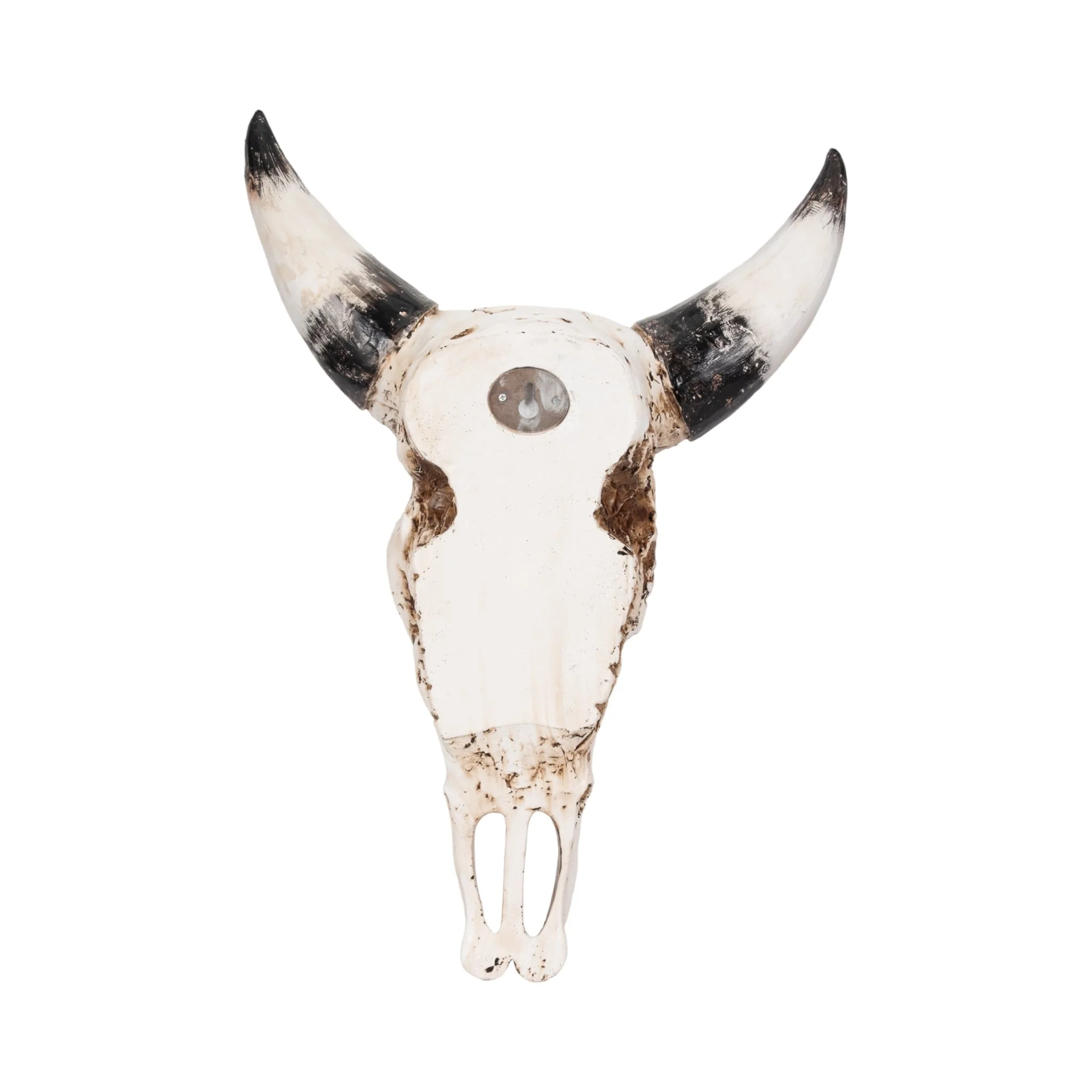 19" Western Bull Skull, Brown - Image 5