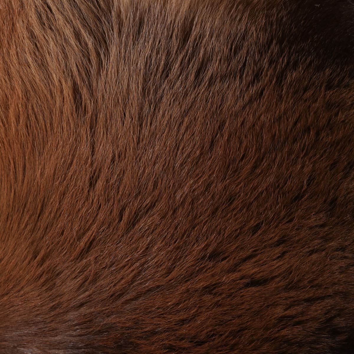 21x16" Hair On Hide Ottoman With Ball Feet, Brown - Image 8