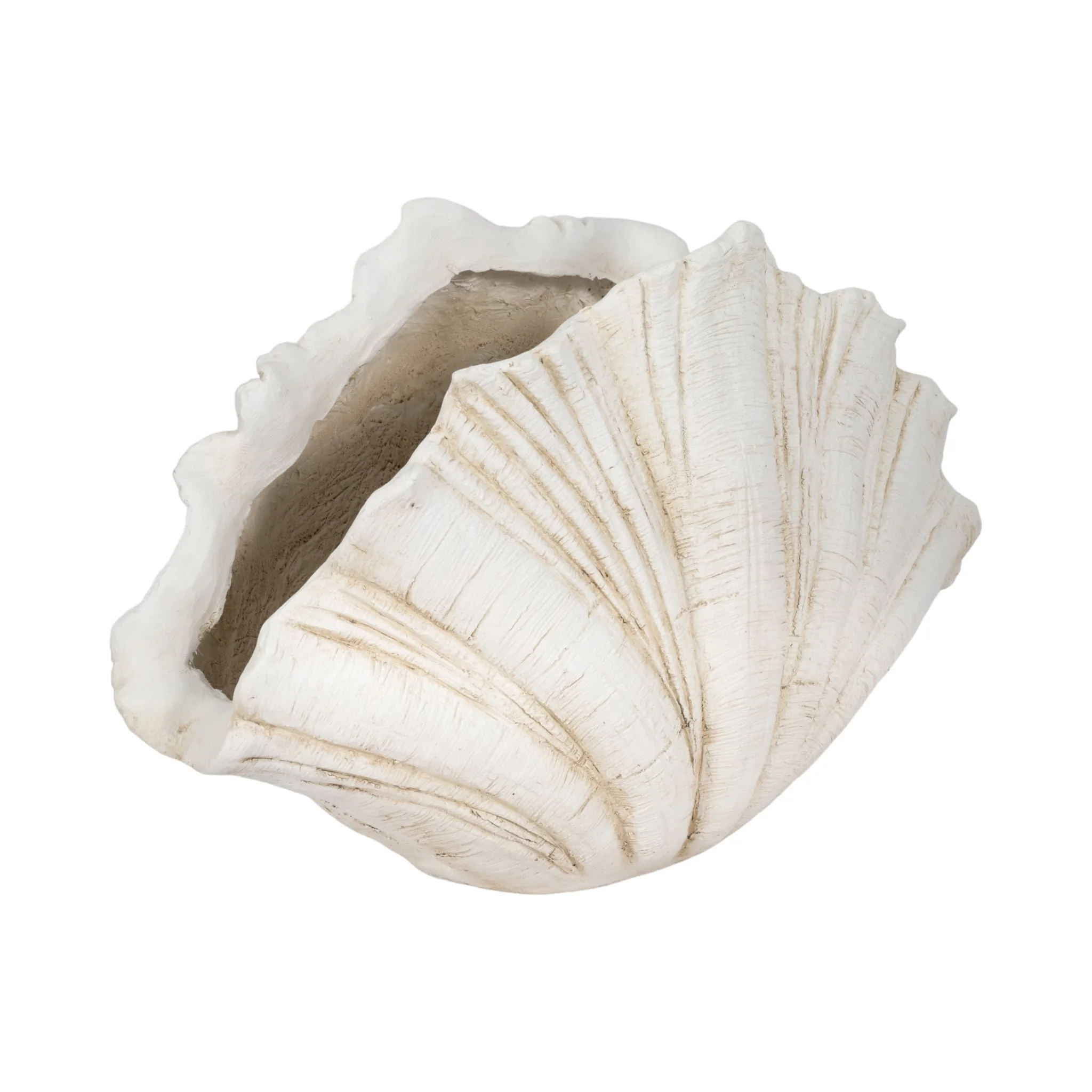 22" Scallop Shell Decor, White - Image 3