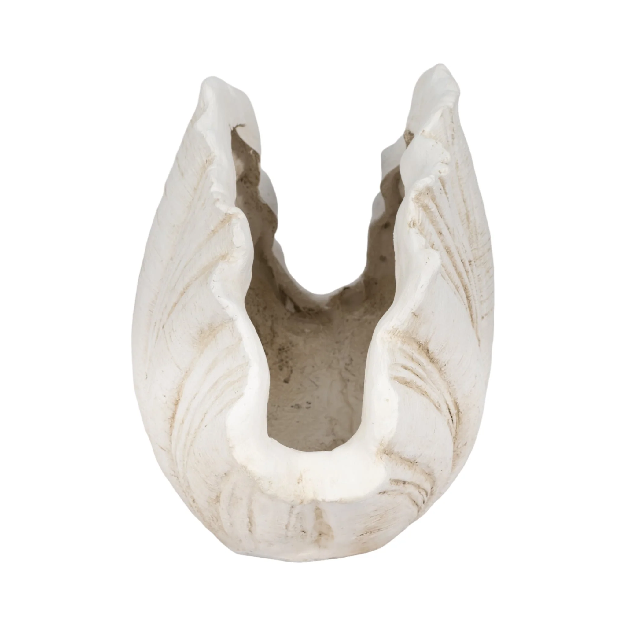 22" Scallop Shell Decor, White - Image 4