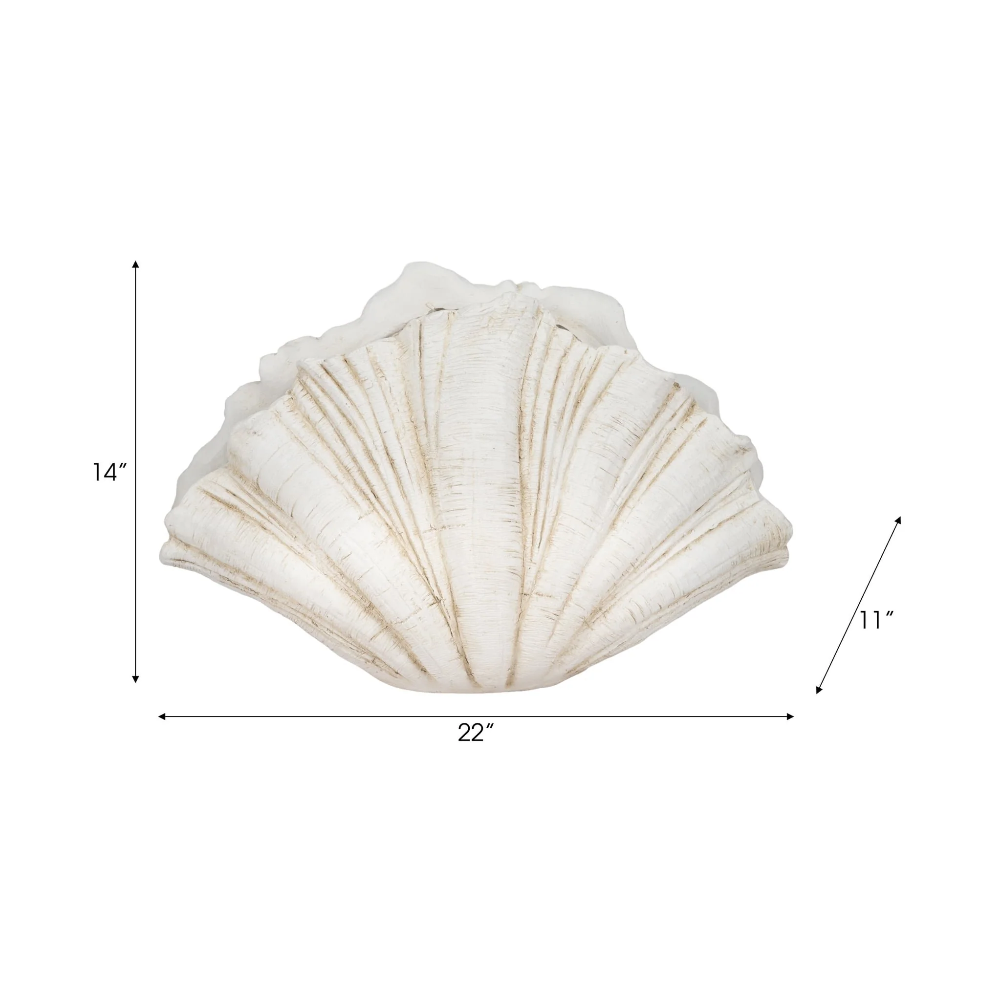 22" Scallop Shell Decor, White - Image 8
