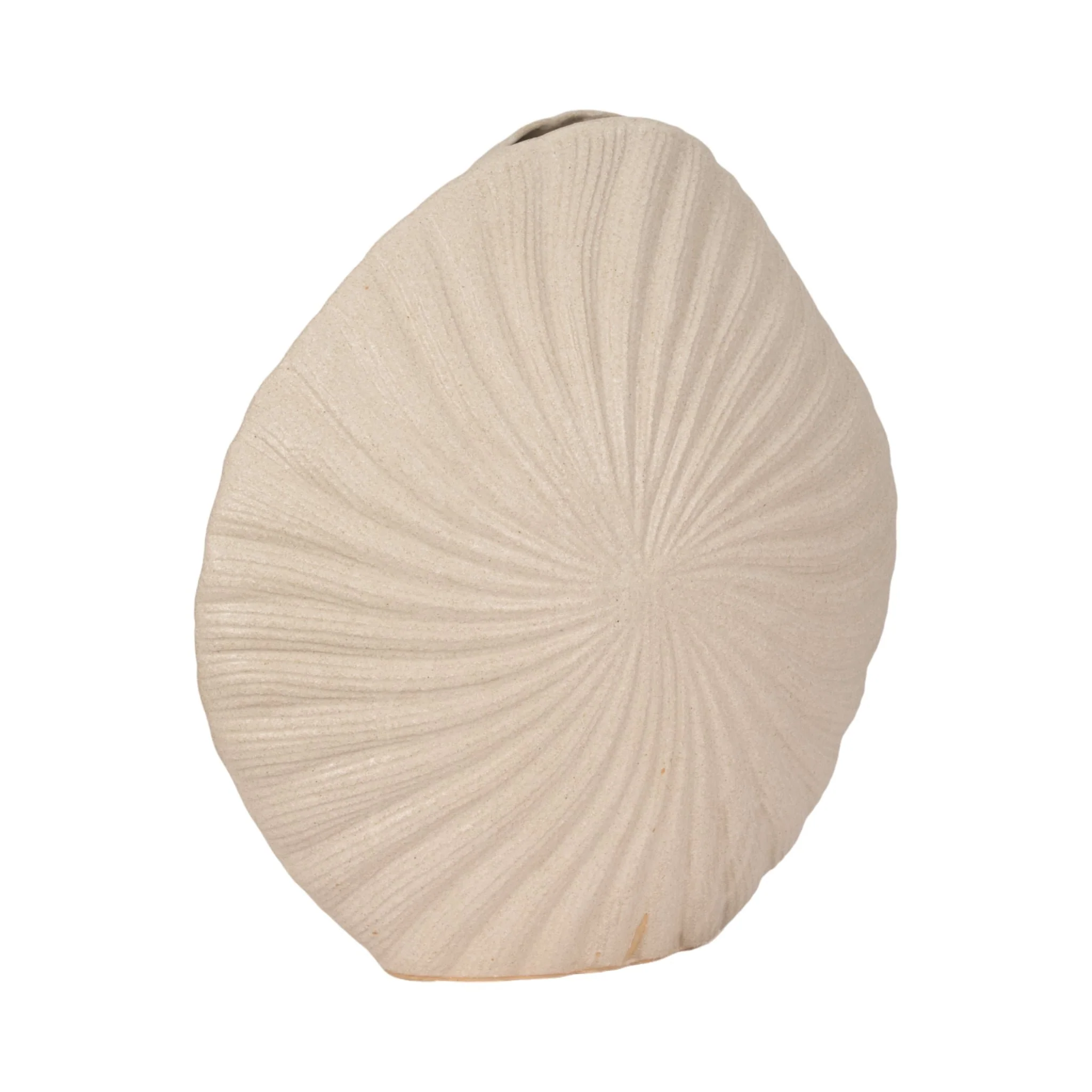 23" White Sand Shell Vase, White - Image 3