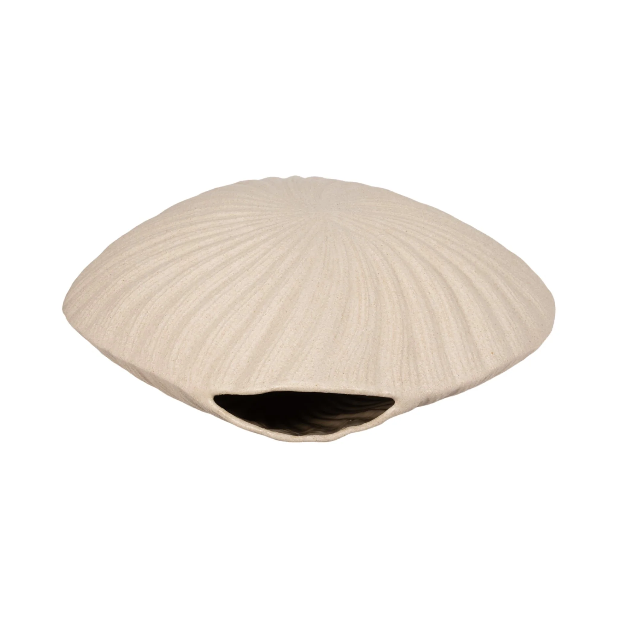 23" White Sand Shell Vase, White - Image 6