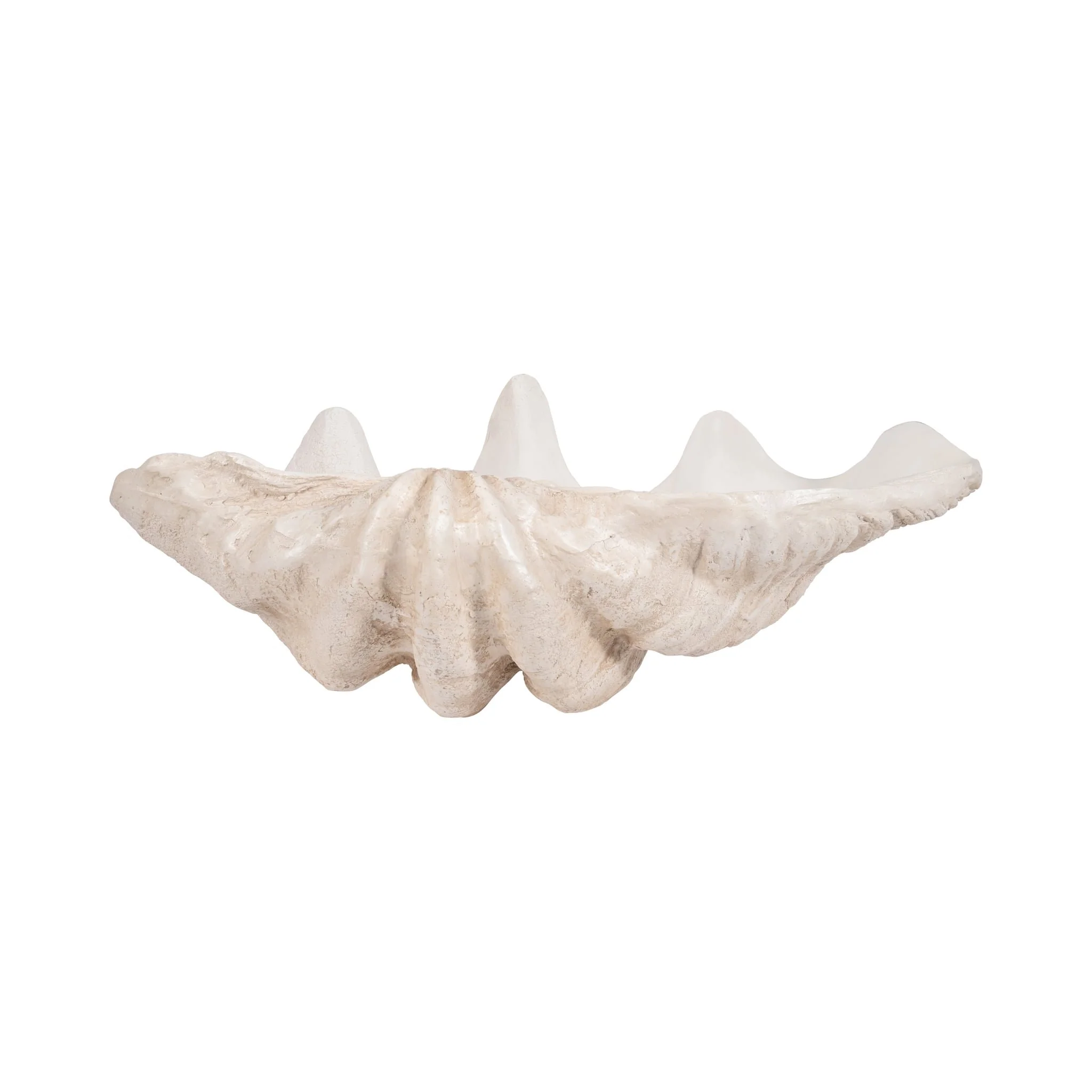 25" Pearlized Clam Shell Bowl, Ivory - Image 4