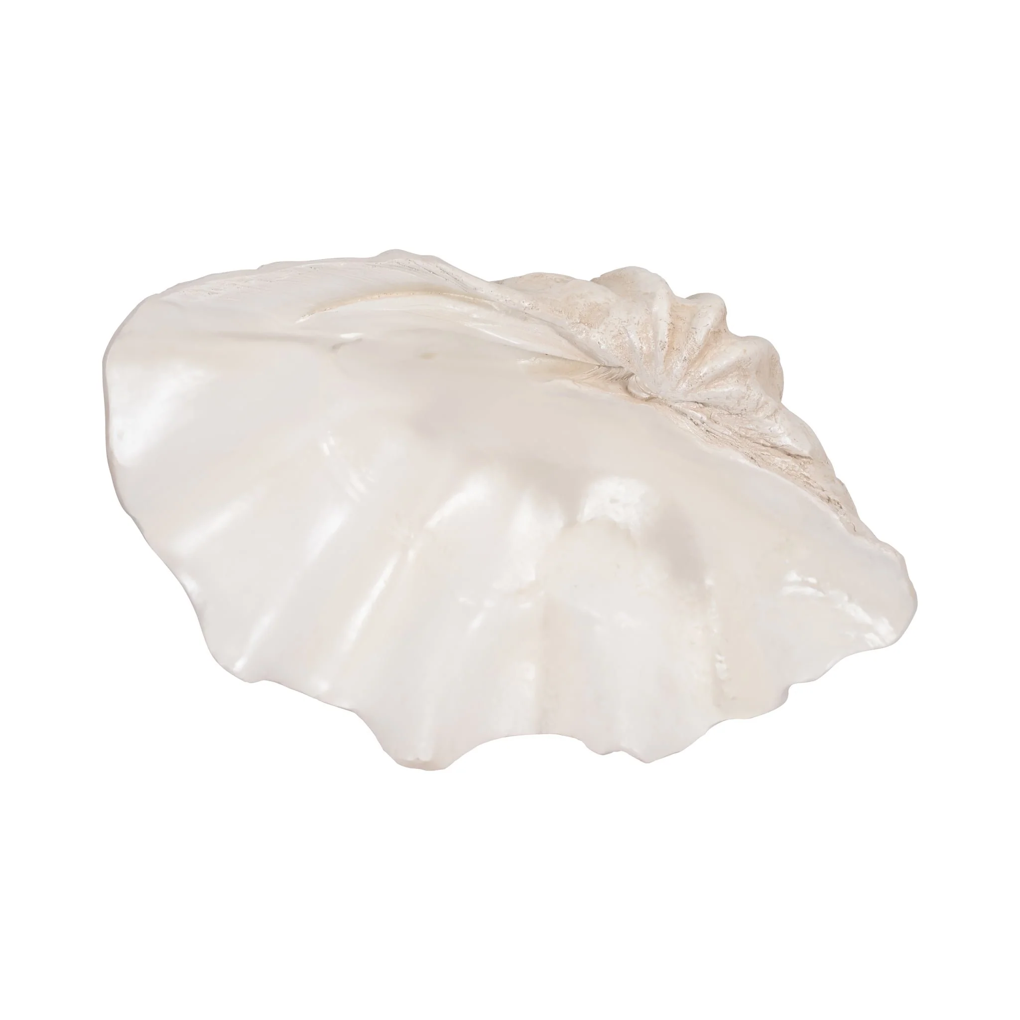 25" Pearlized Clam Shell Bowl, Ivory - Image 6
