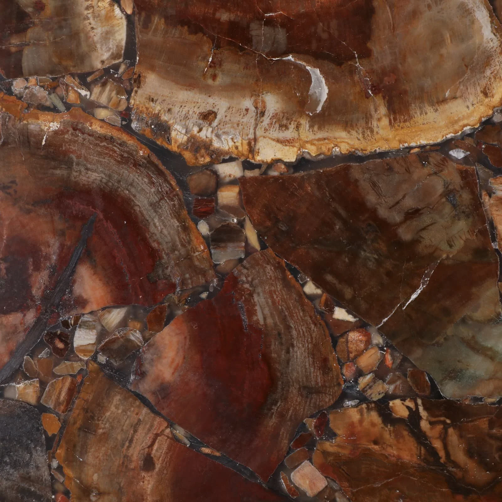 25x10" Petrified Wood Top Drink Table, Brown/gold - Image 8