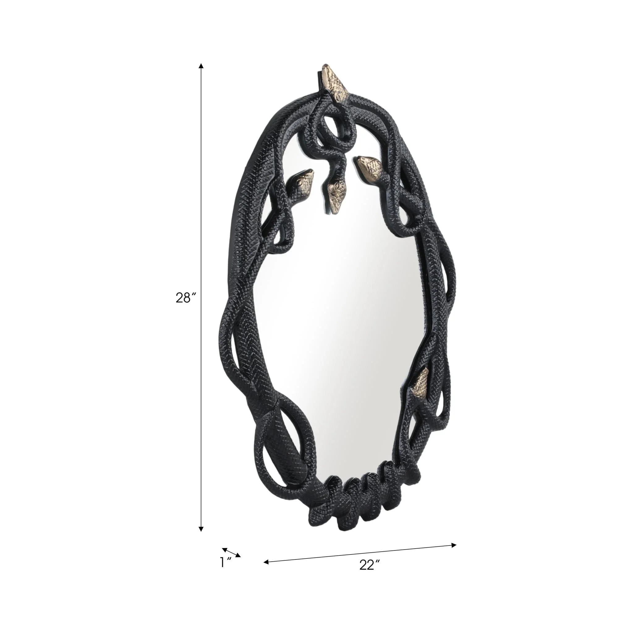28x22" Snake Mirror, Blk/gld - Image 7